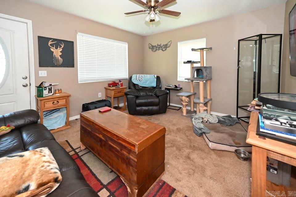 142  Taylor Loop  Oden, AR