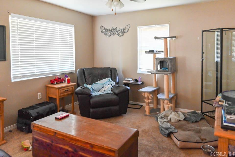 142  Taylor Loop  Oden, AR