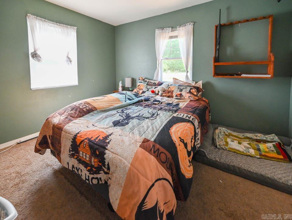 142  Taylor Loop  Oden, AR