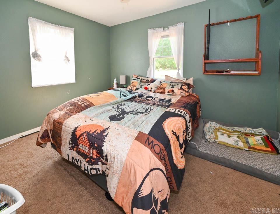 142  Taylor Loop  Oden, AR
