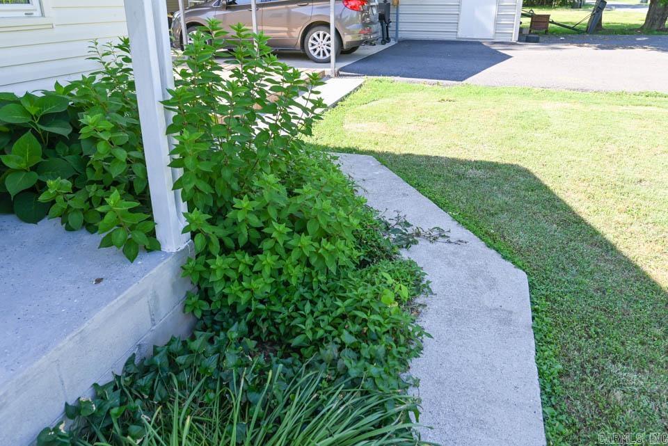 142  Taylor Loop  Oden, AR
