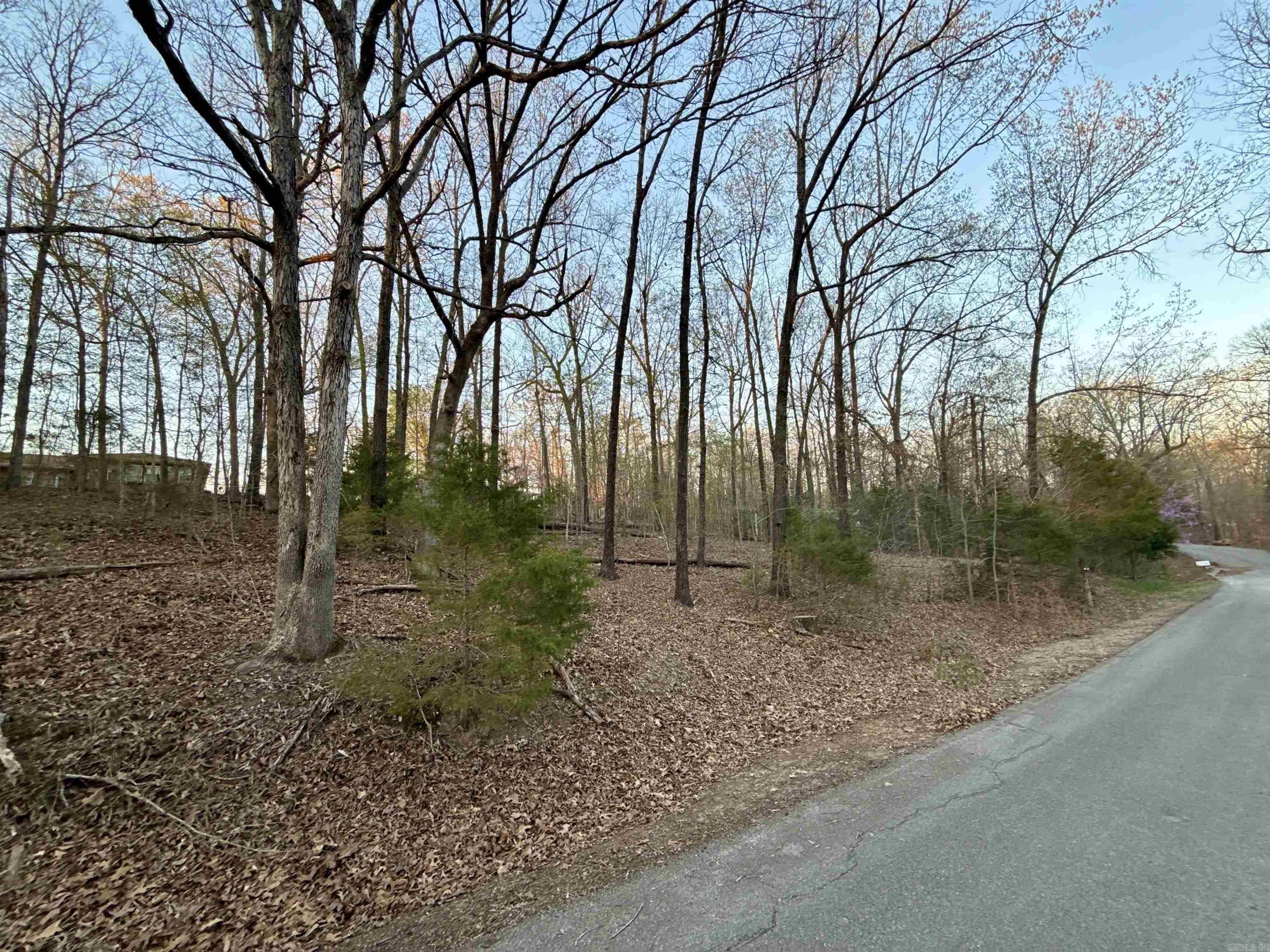 Lots 61 62  Glen Cove  Lakeview, AR