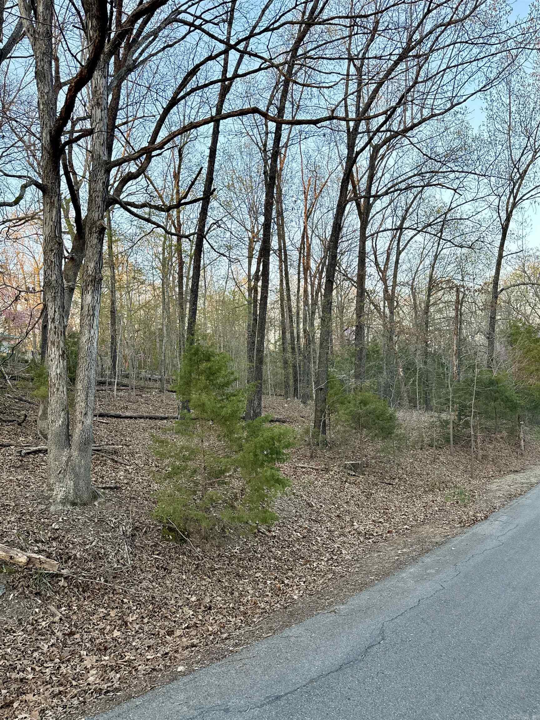 Lots 61 62  Glen Cove  Lakeview, AR