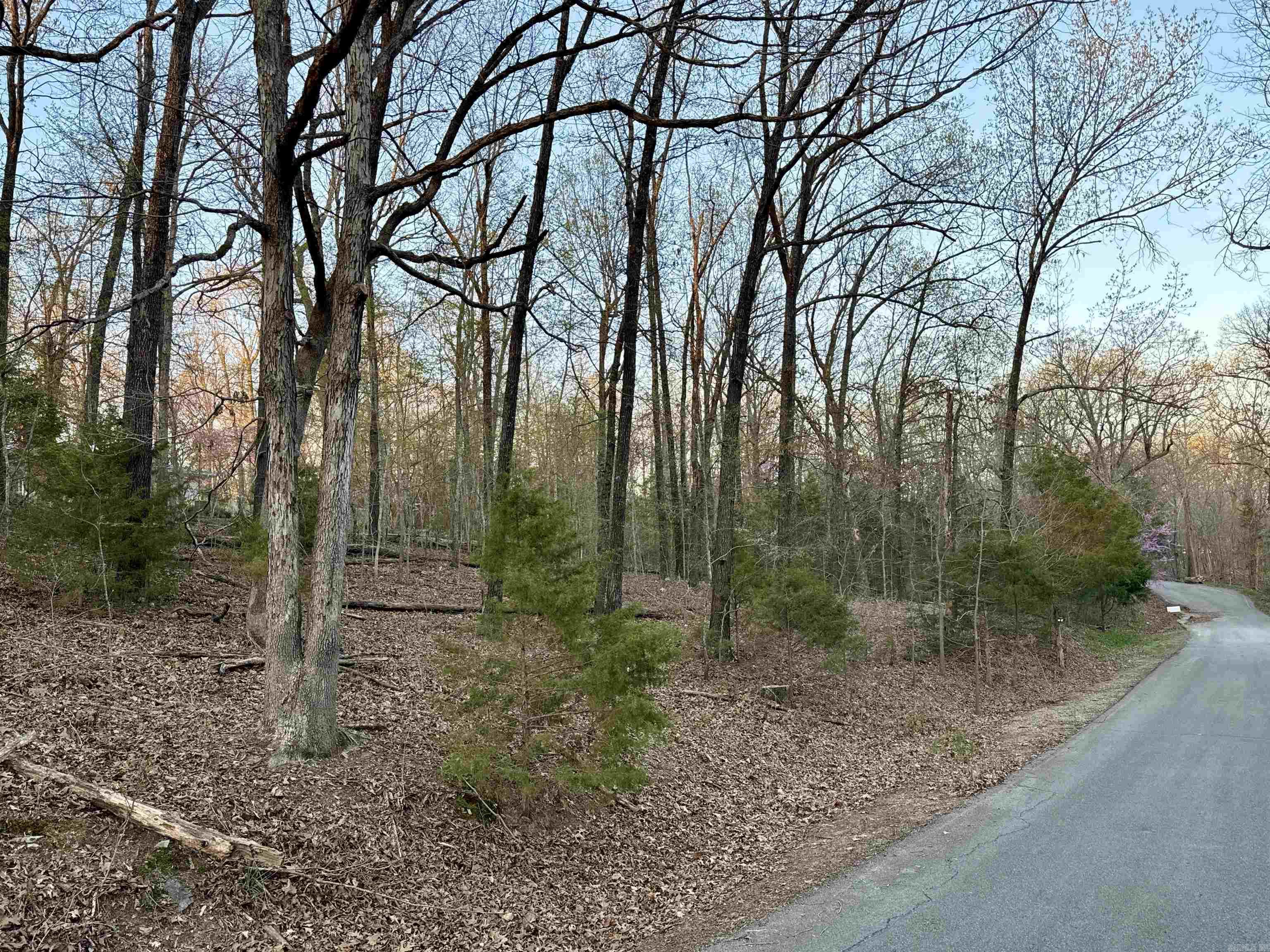 Lots 61 62  Glen Cove  Lakeview, AR