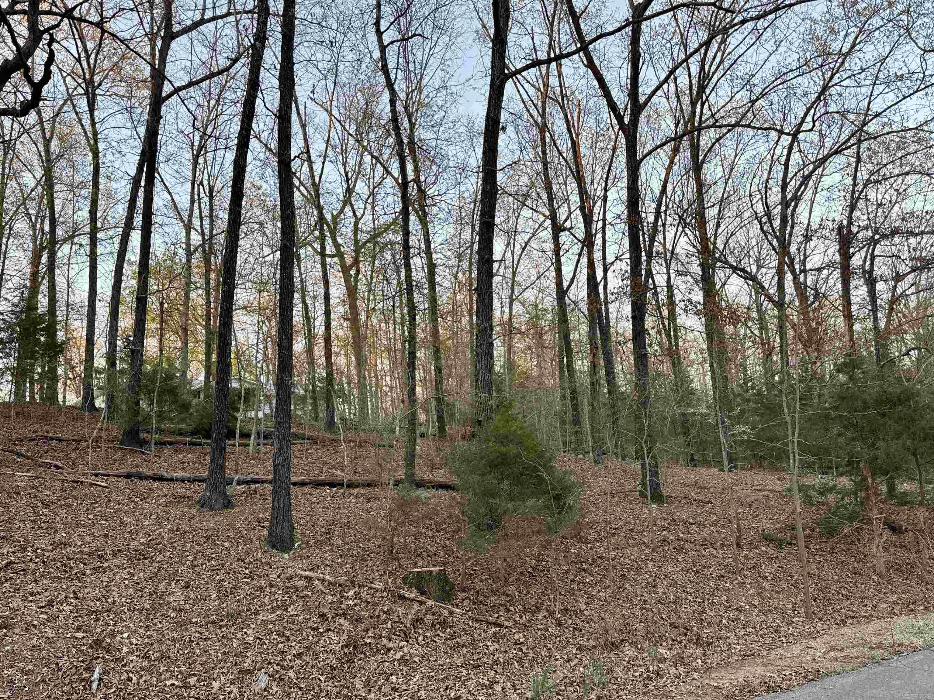 Lots 61 62  Glen Cove  Lakeview, AR