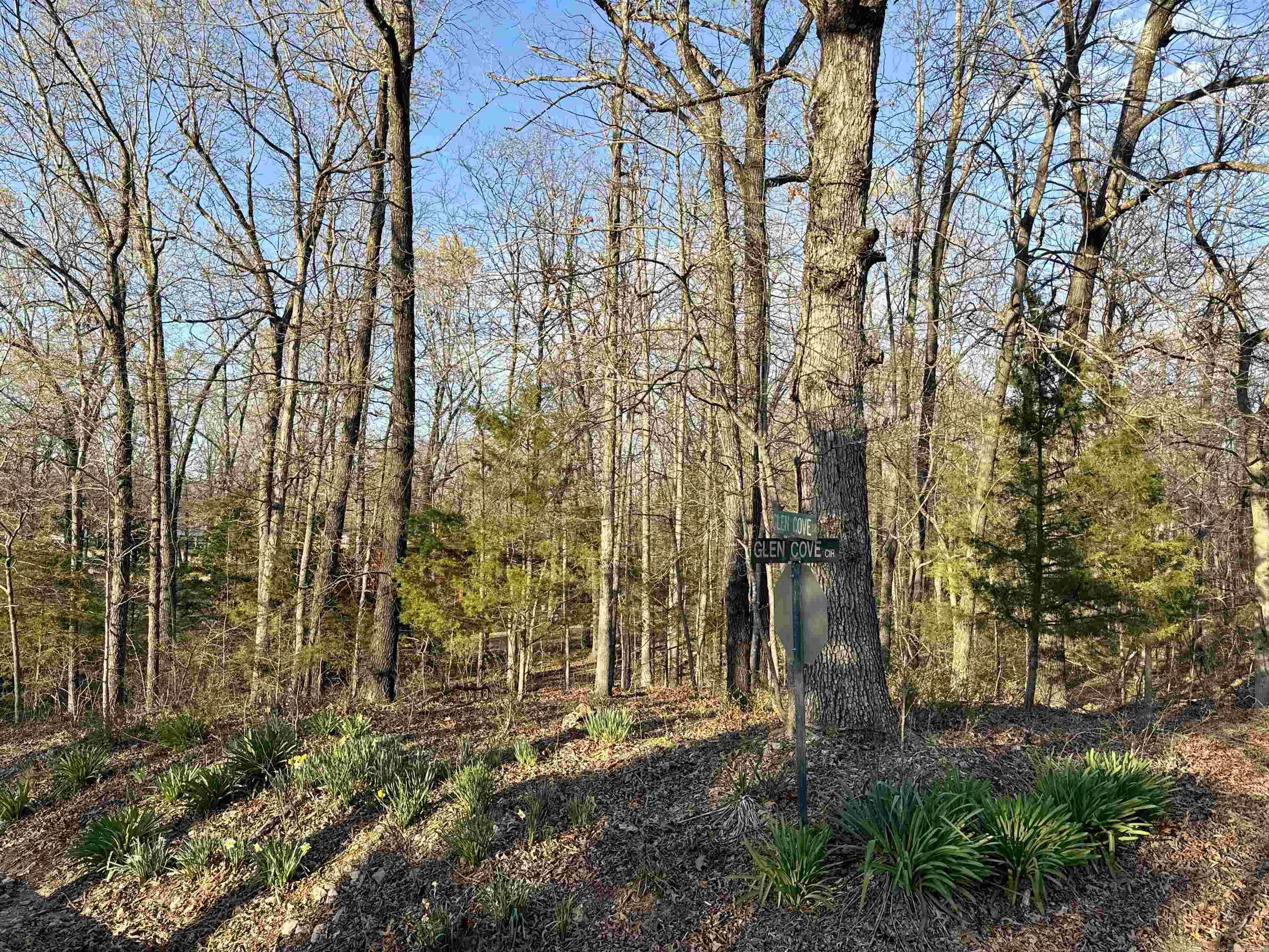 Lots 40 41 42  Glen Cove  Lakeview, AR