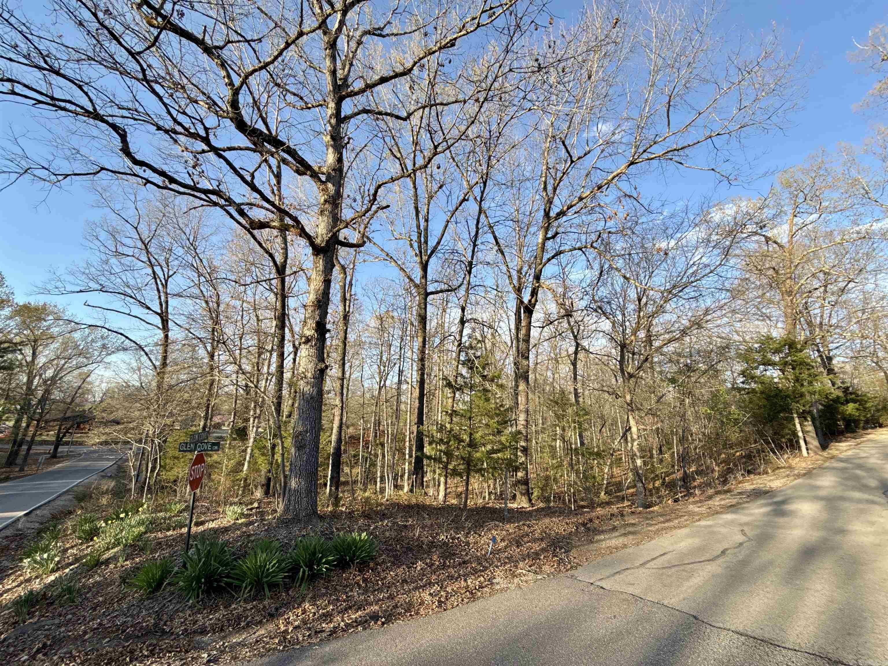 Lots 40 41 42  Glen Cove  Lakeview, AR