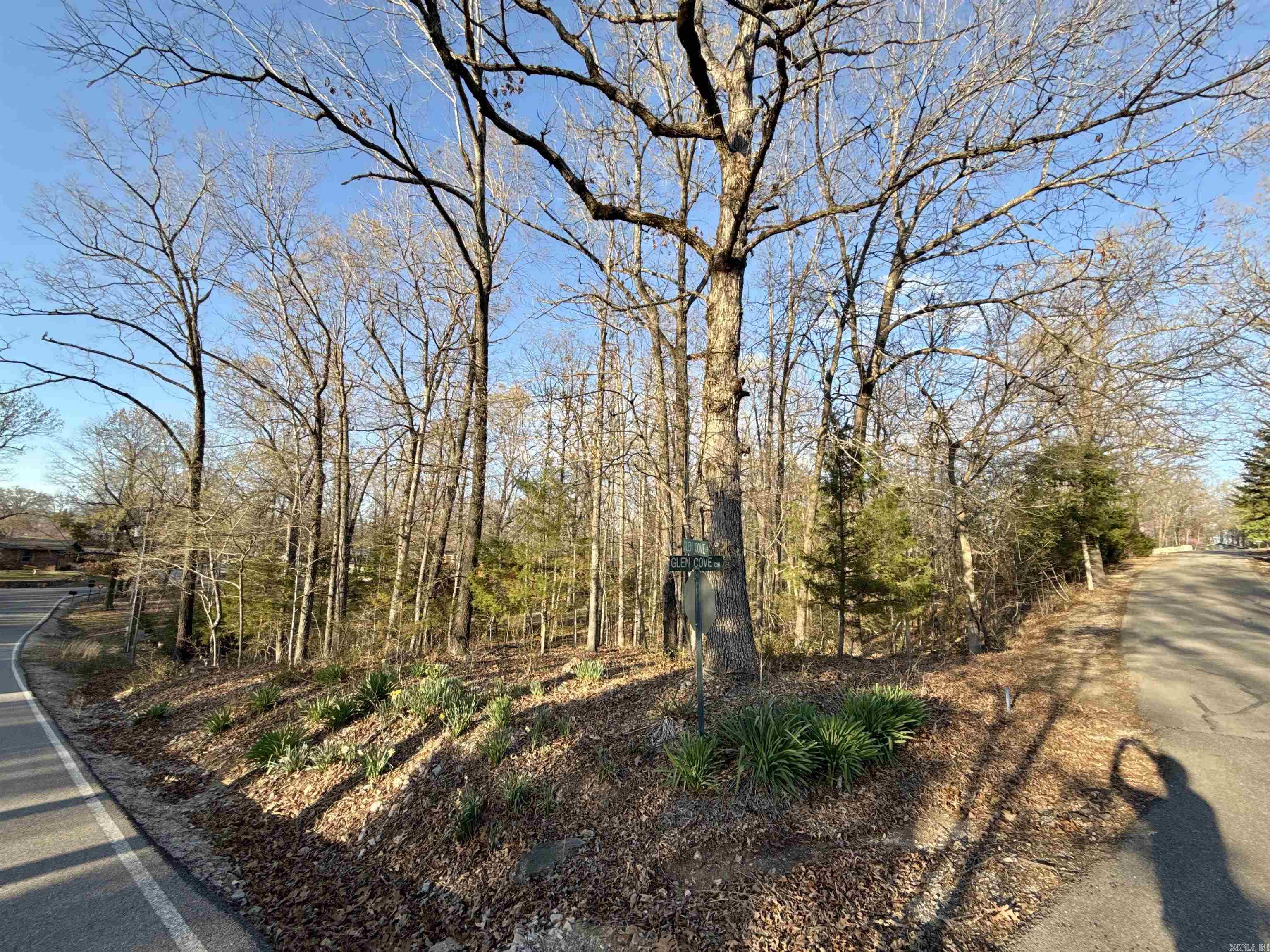 Lots 40 41 42  Glen Cove  Lakeview, AR