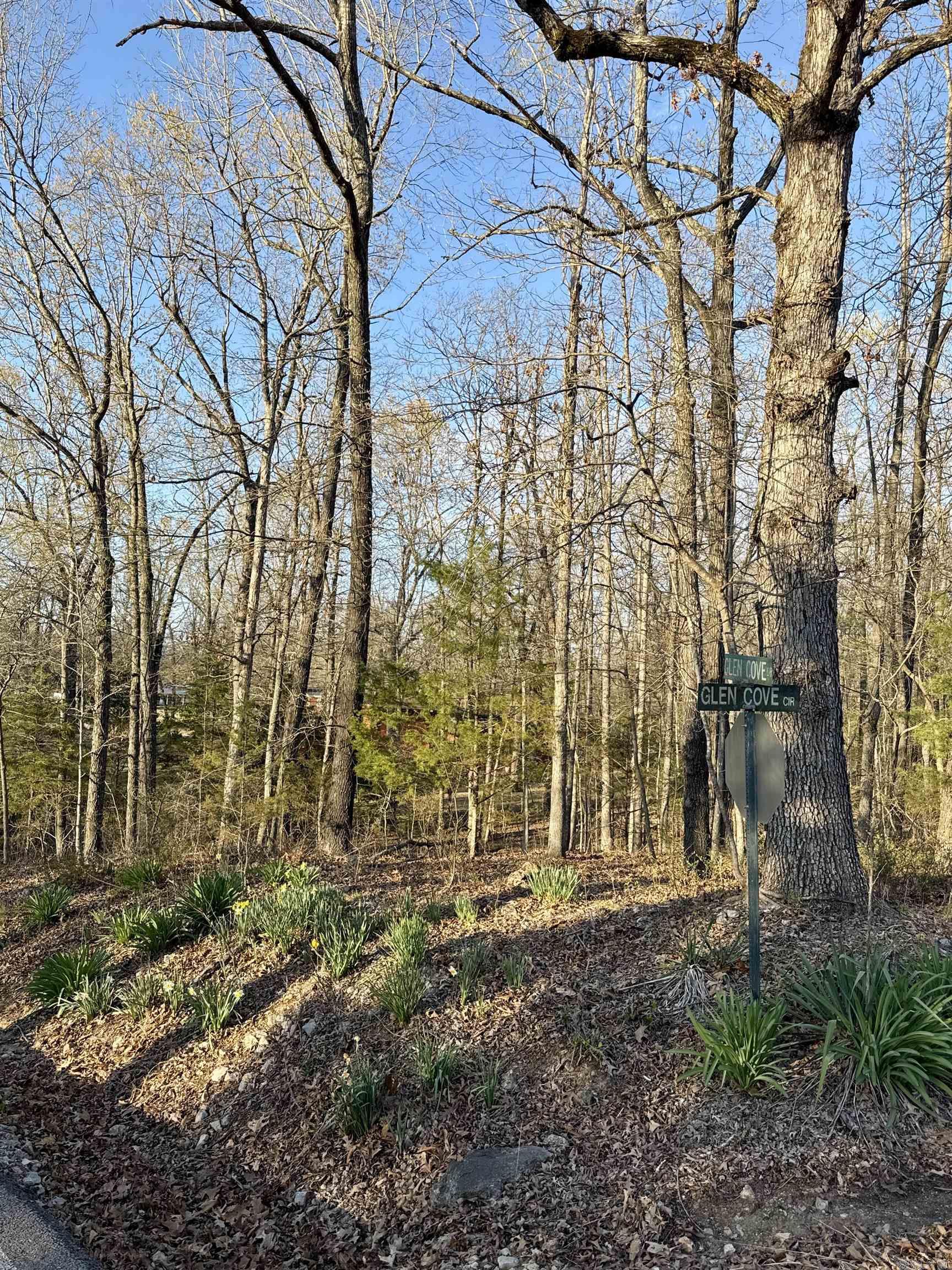 Lots 40 41 42  Glen Cove  Lakeview, AR
