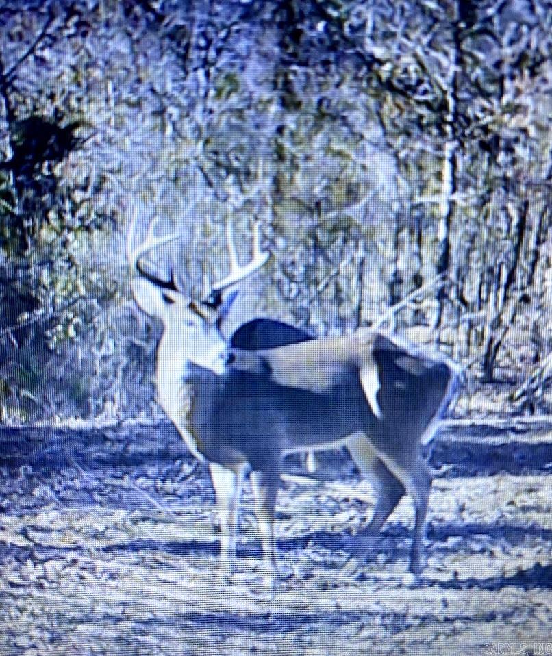 2258 County Road 3291 Clarksville, AR 72830