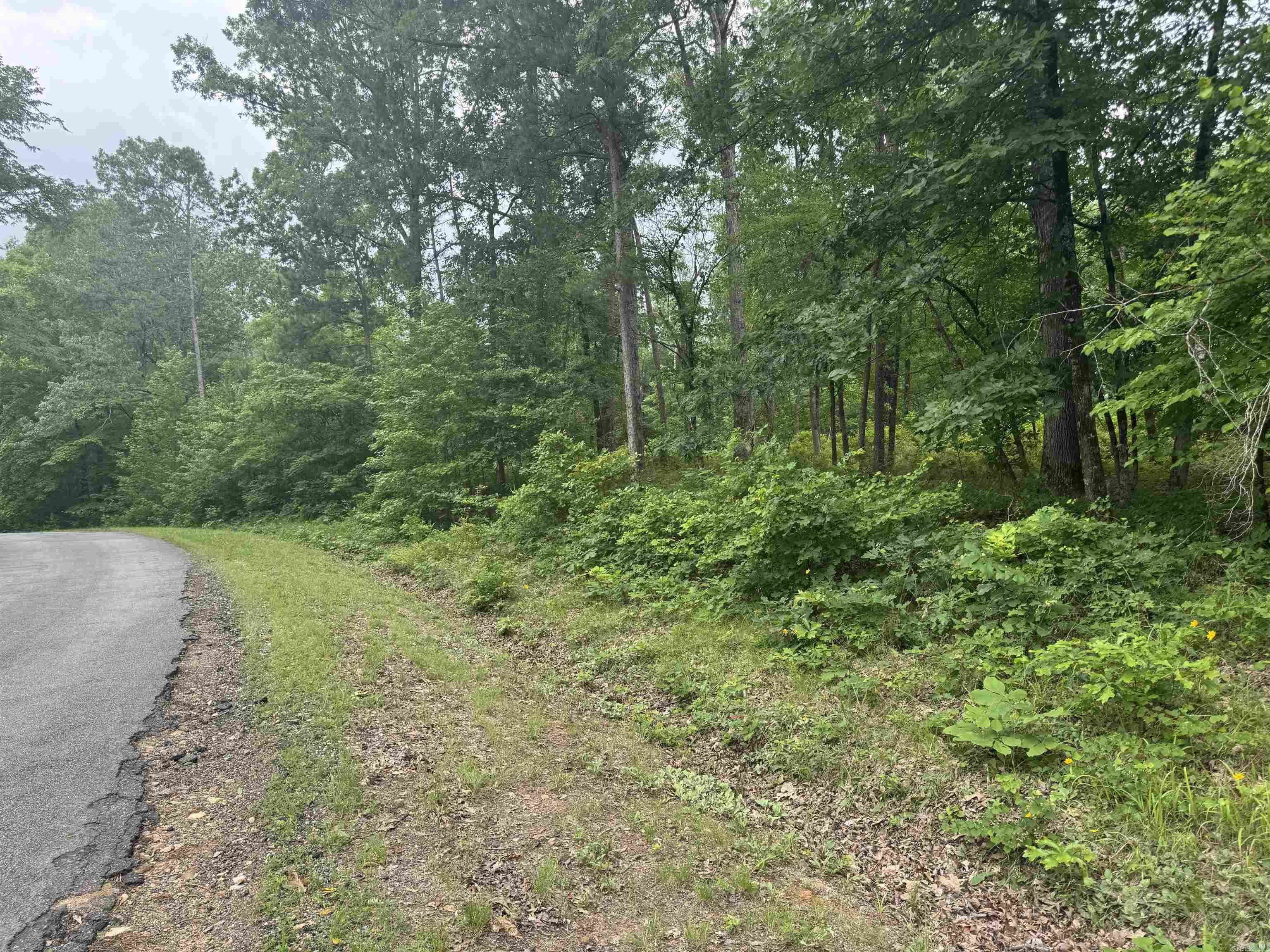 Lot 3251  Ohio  Hot Springs, AR