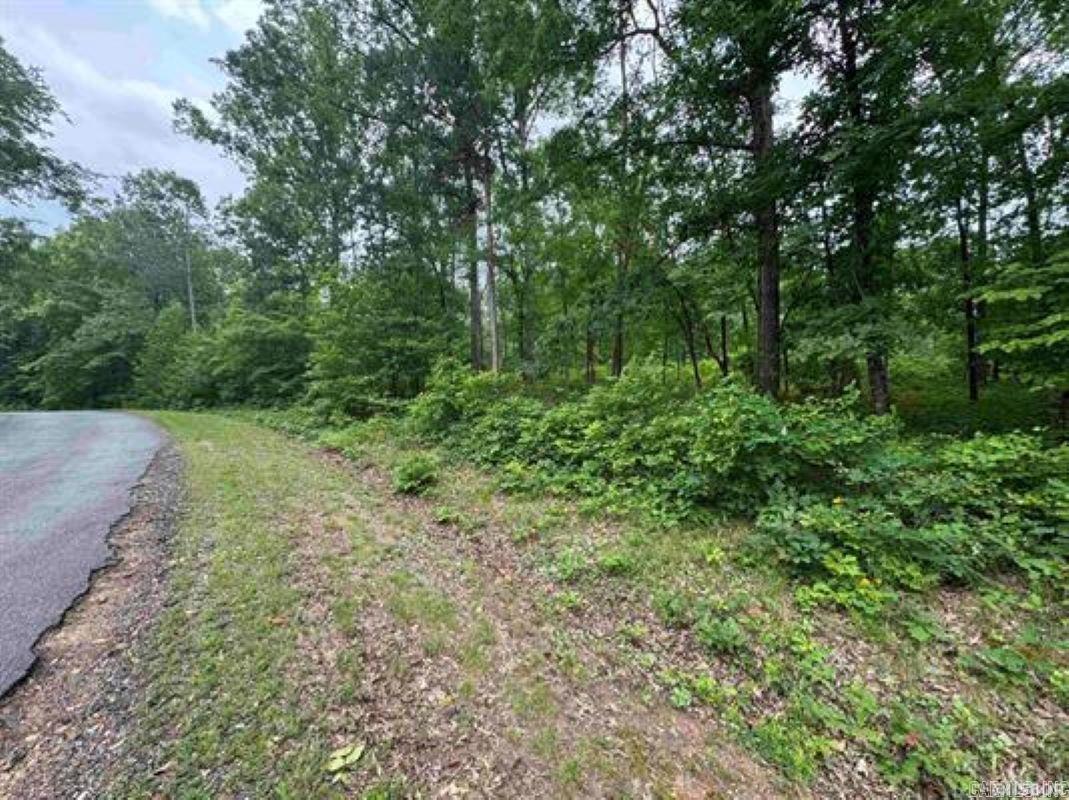Lot 3251  Ohio  Hot Springs, AR