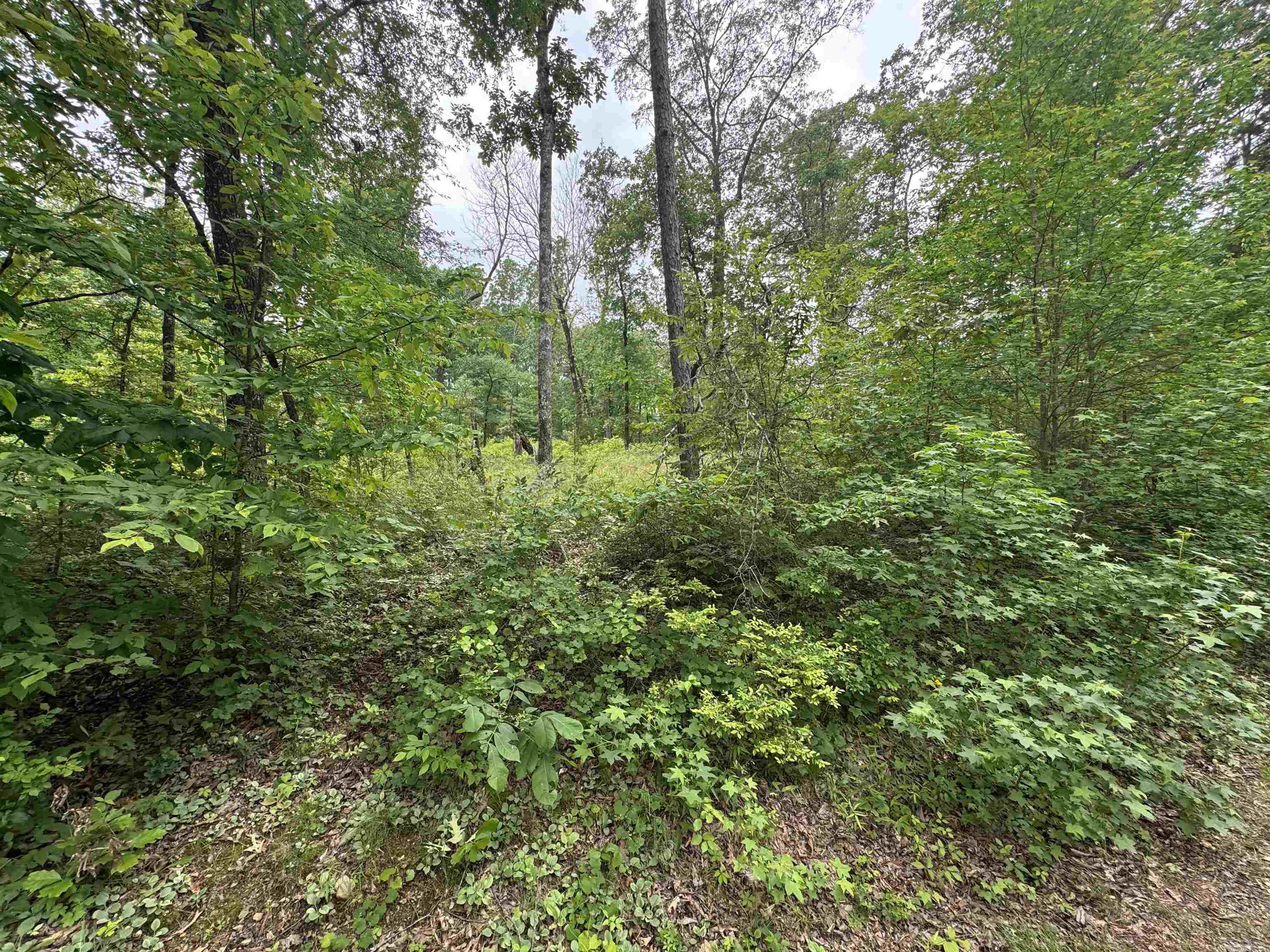 Lot 3251  Ohio  Hot Springs, AR