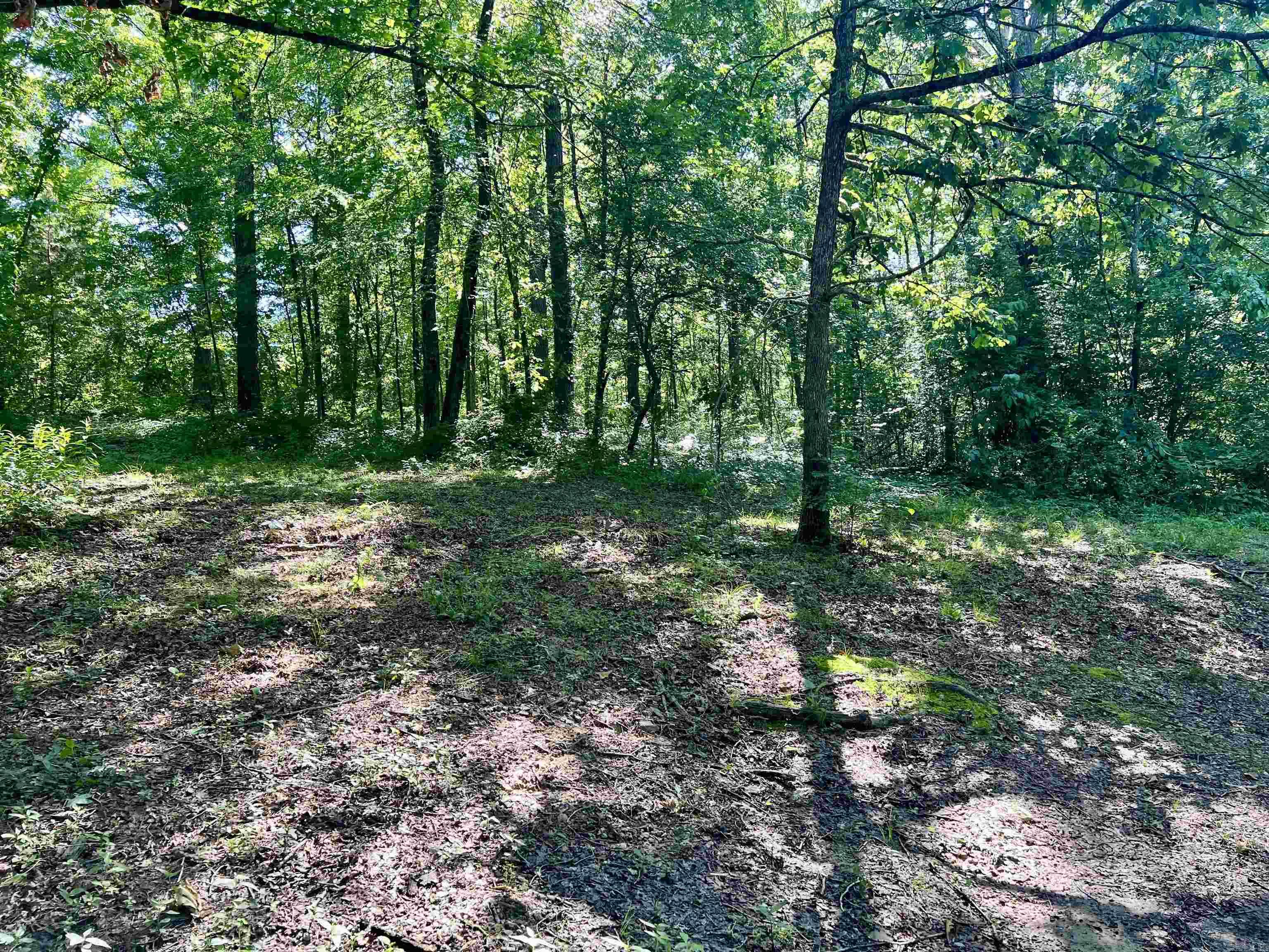 1263  Lost Creek road  Pearcy, AR