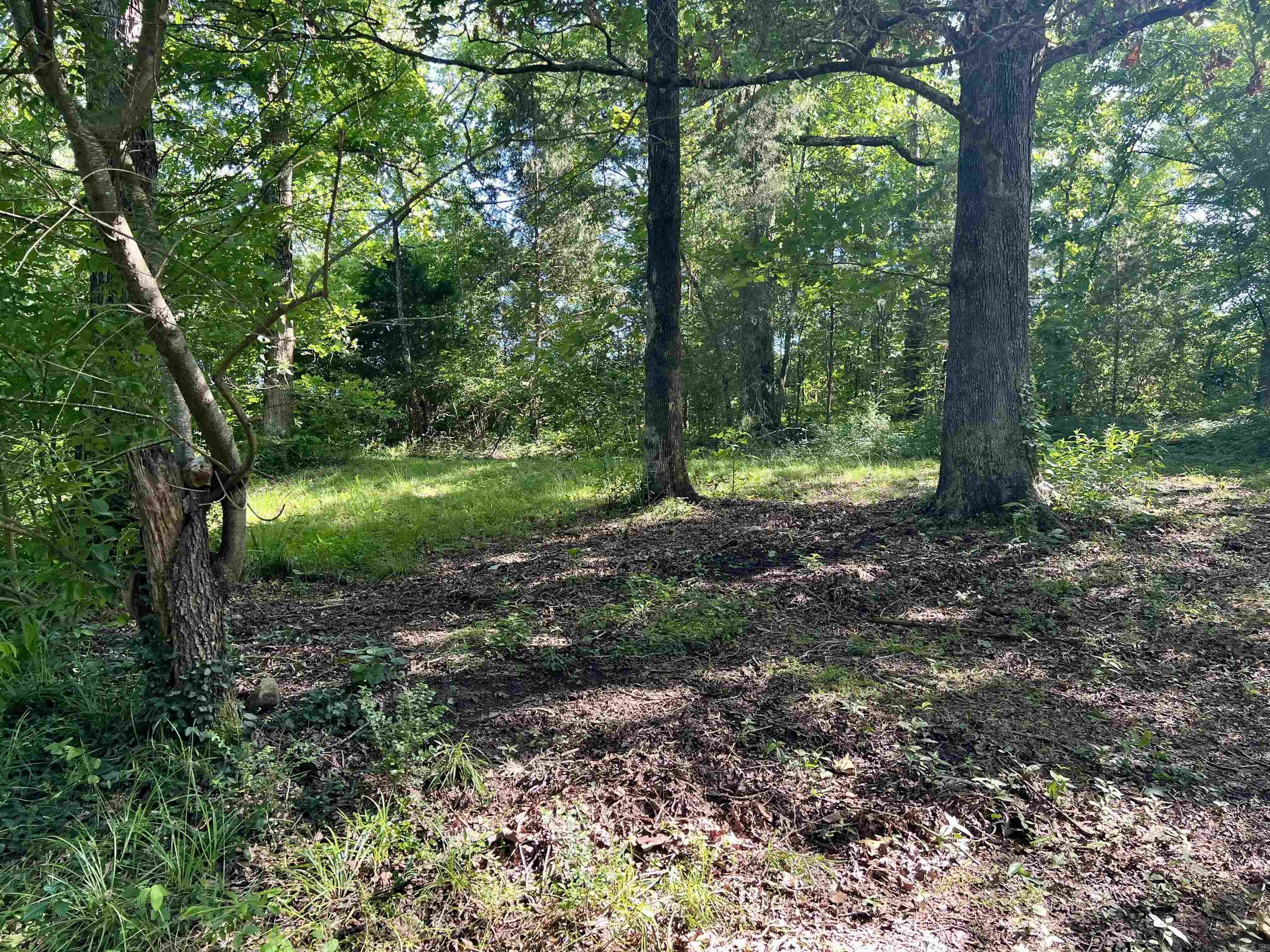 1263  Lost Creek road  Pearcy, AR