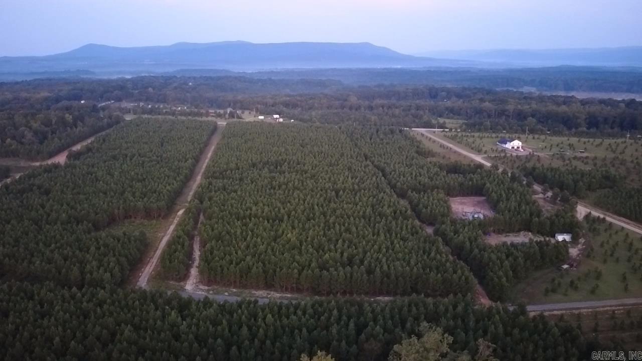 Tract 9 Serenity Lane  Mena, AR