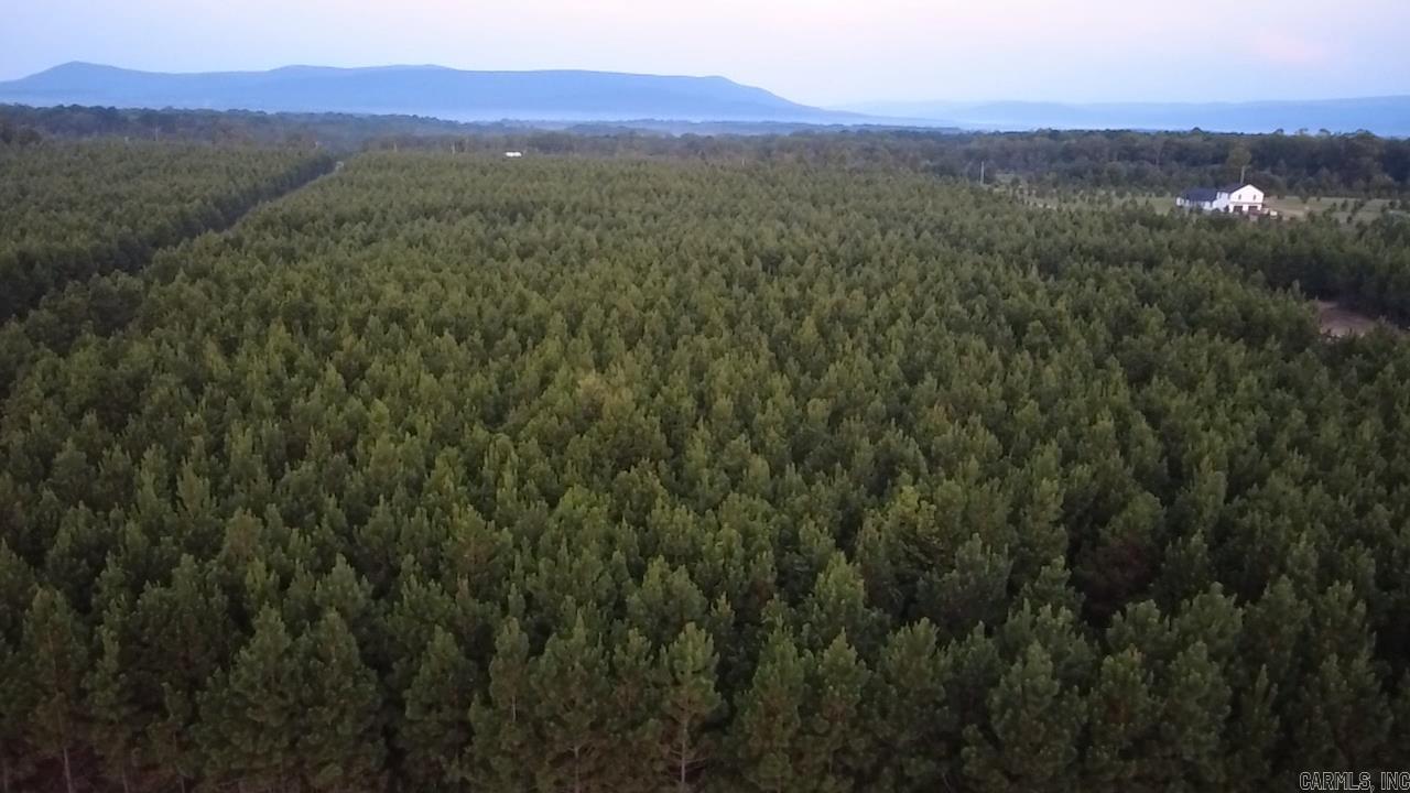 Tract 9 Serenity Lane  Mena, AR