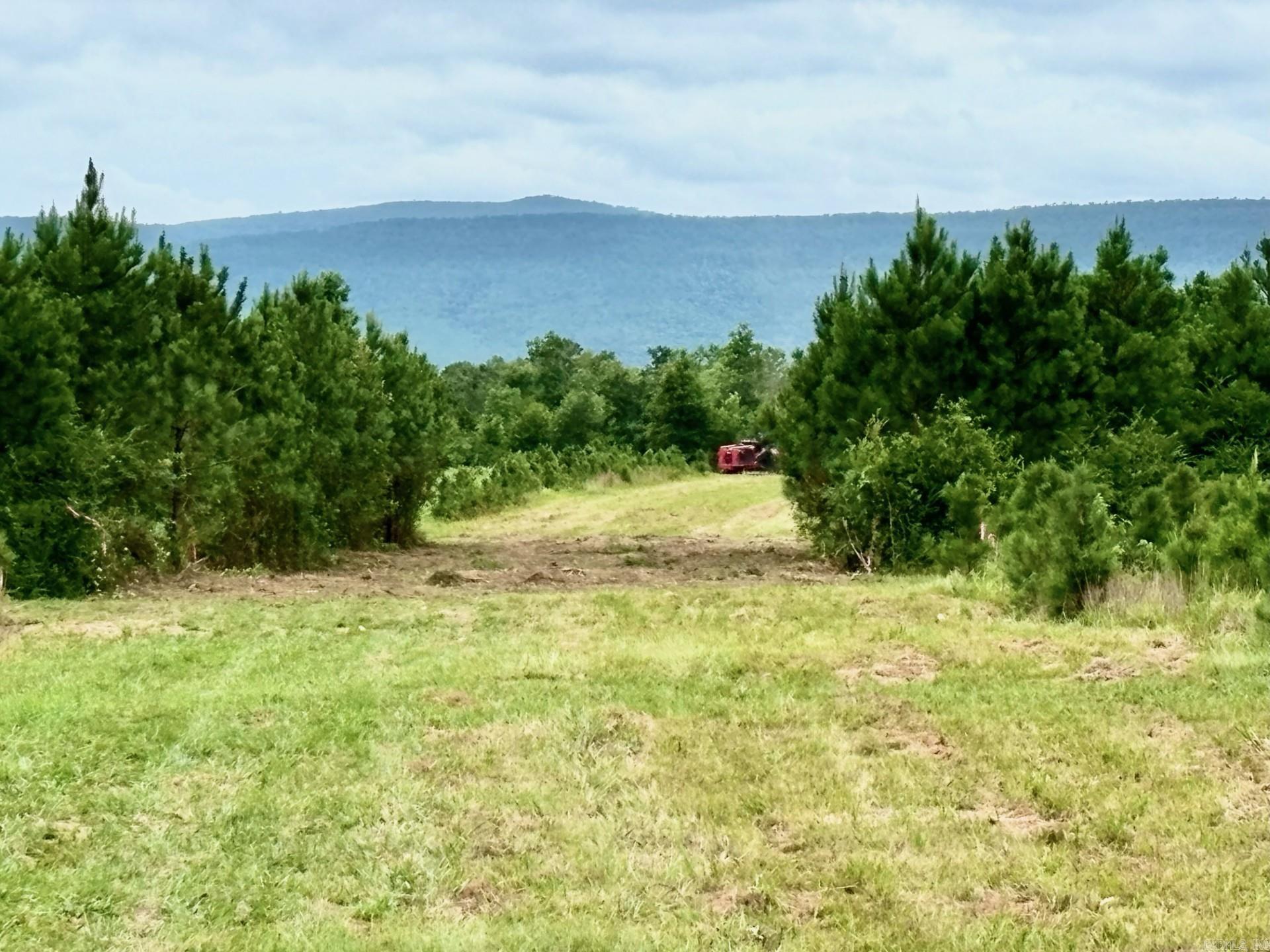 Tract 9  Serenity Lane  Mena, AR