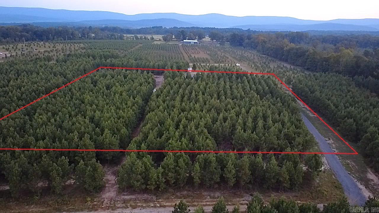 Tract 9 Serenity Lane  Mena, AR