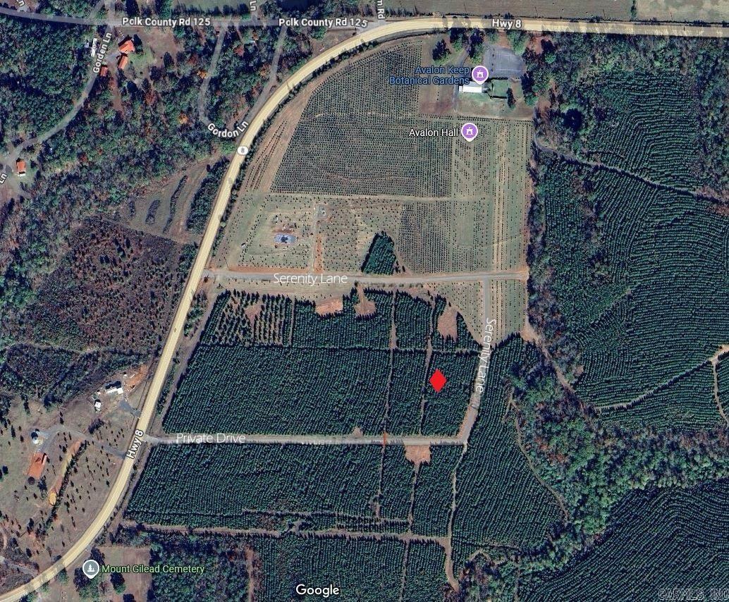Tract 9  Serenity Lane  Mena, AR