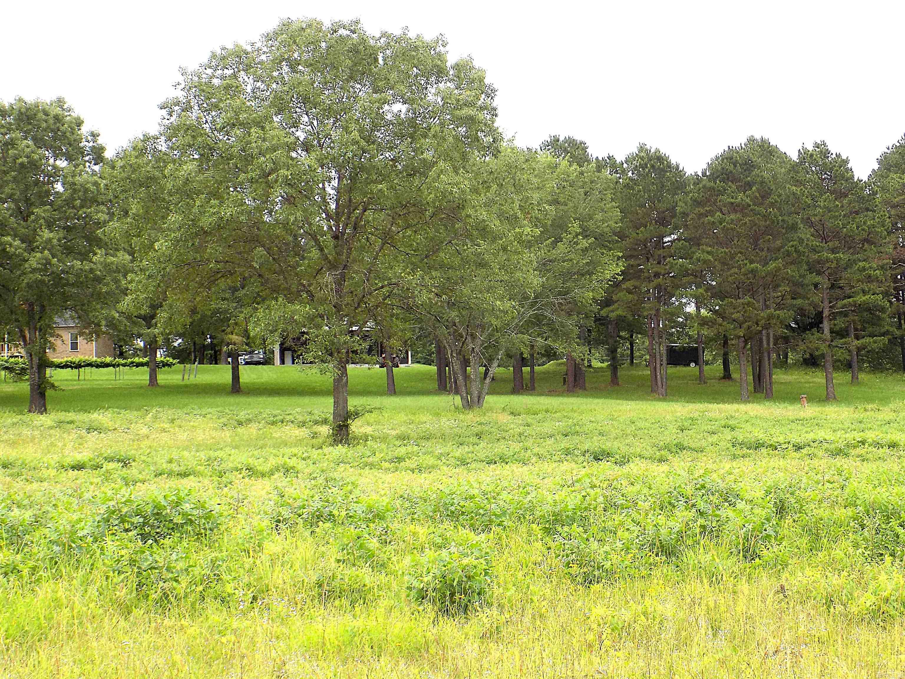 37  Thomas Rd  Greenbrier, AR