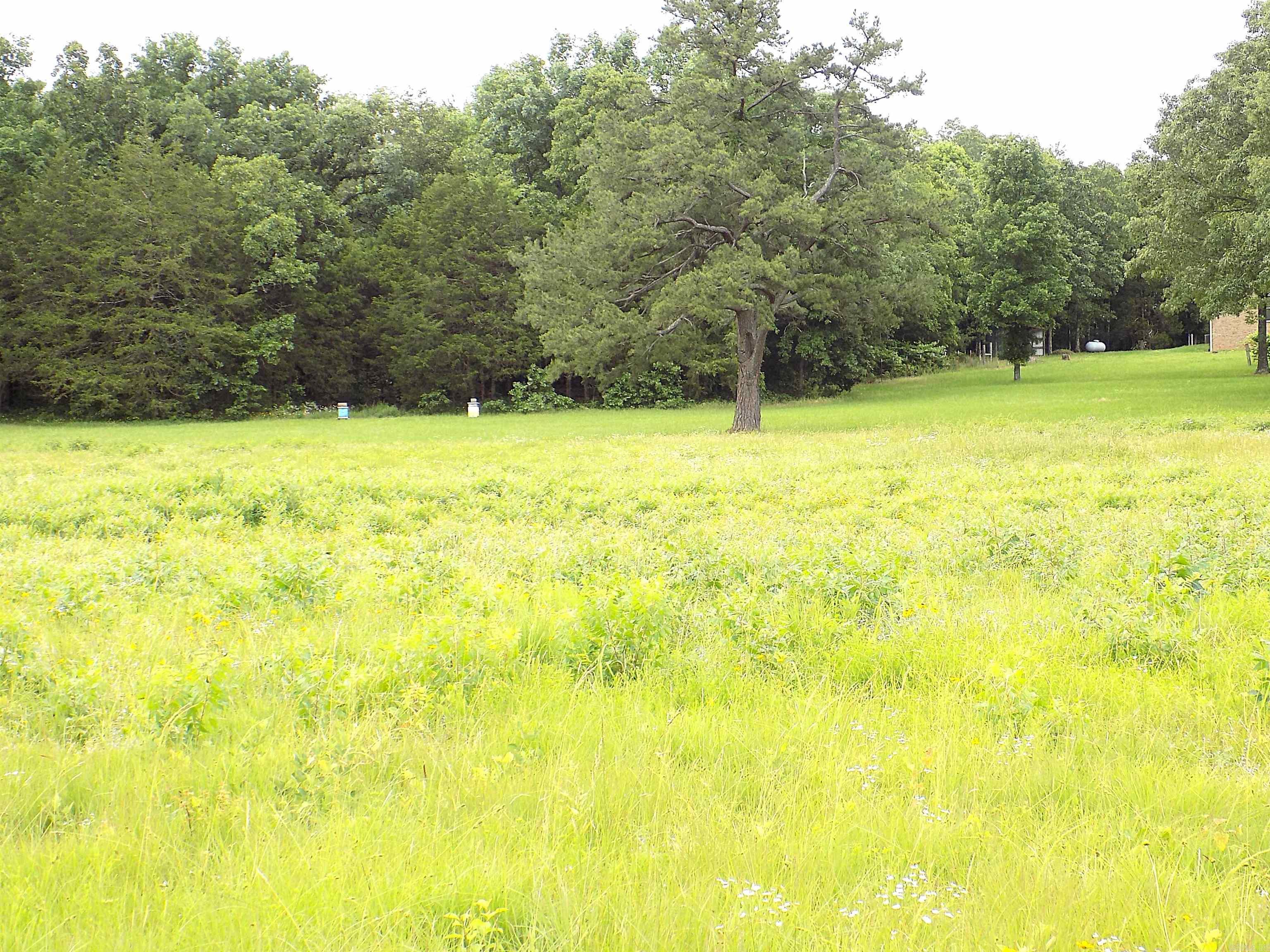 37  Thomas Rd  Greenbrier, AR