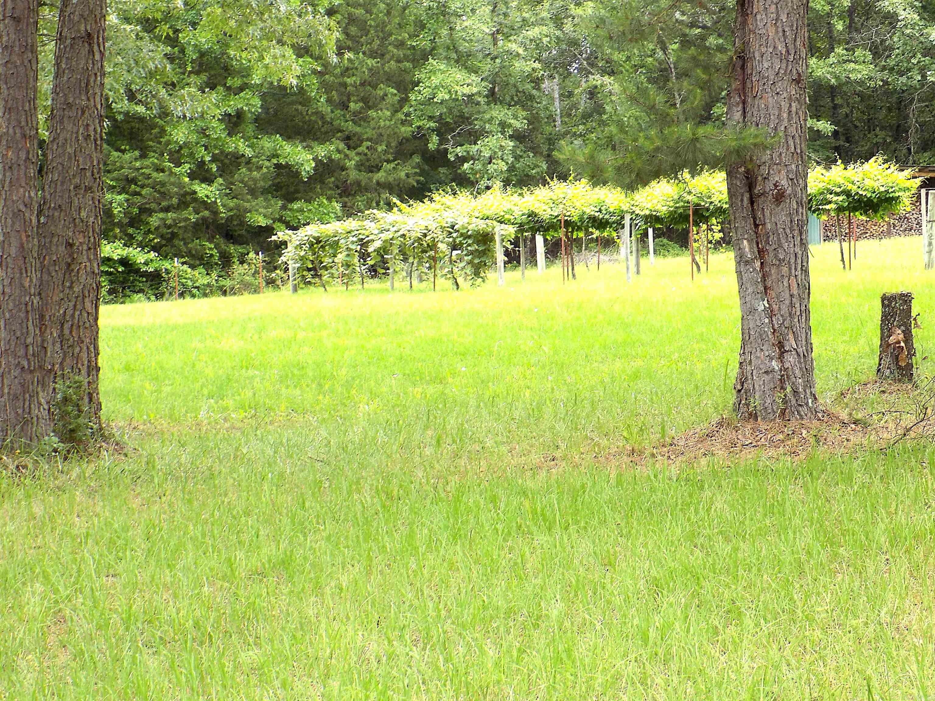 37  Thomas Rd  Greenbrier, AR