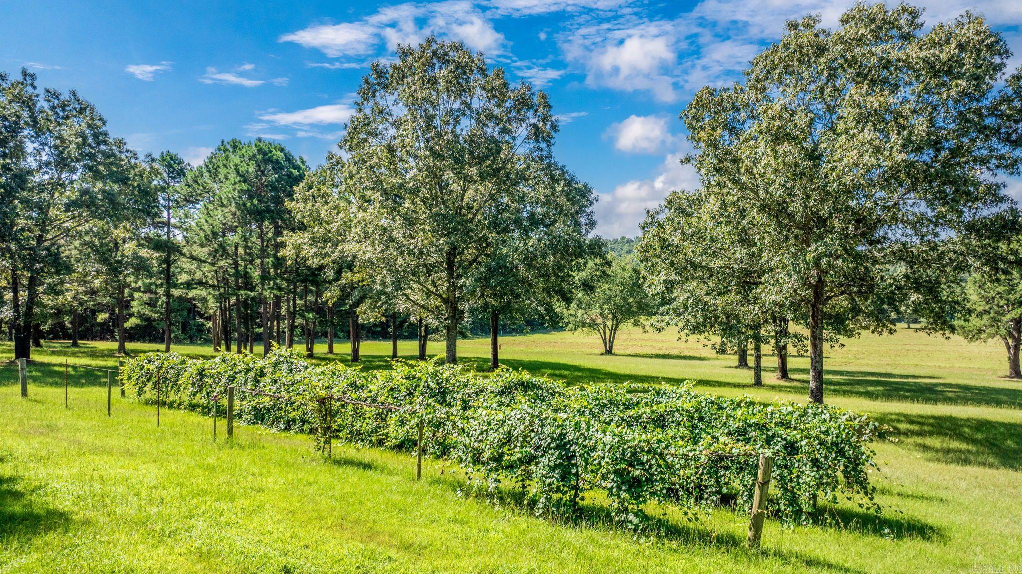37 Thomas Rd Greenbrier, AR 72058