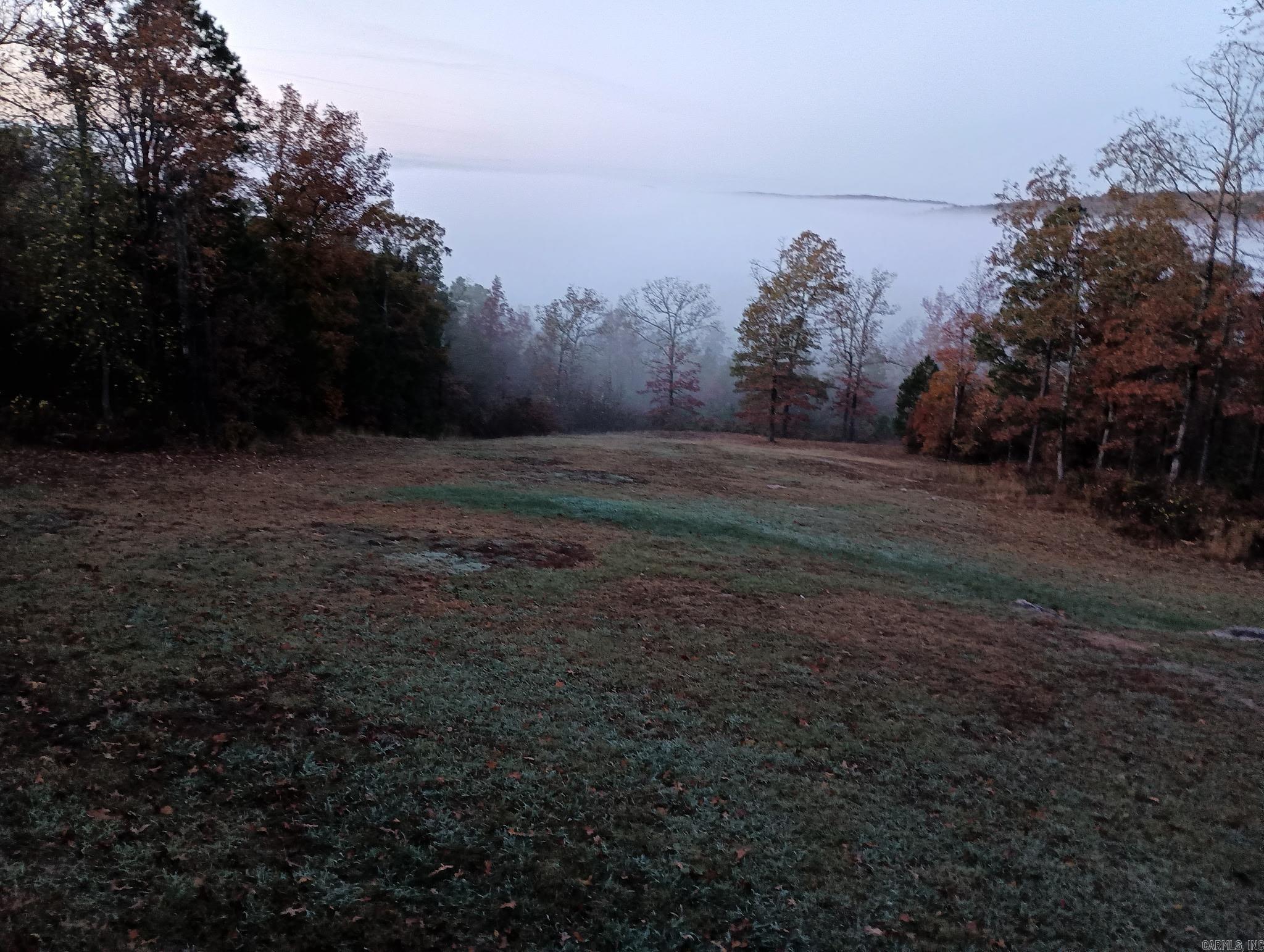 16350  HWY 110  Shirley, AR