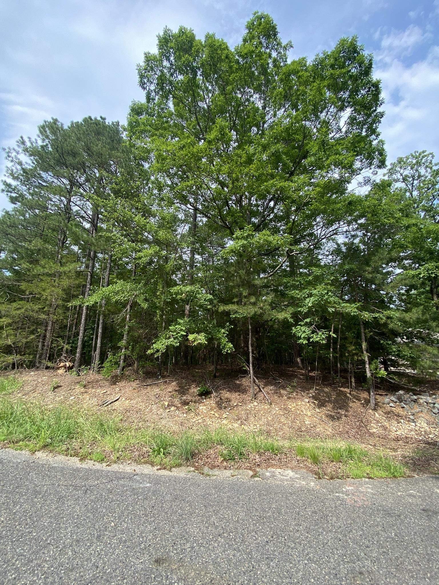 102  Salvatierra  Hot Springs Village, AR