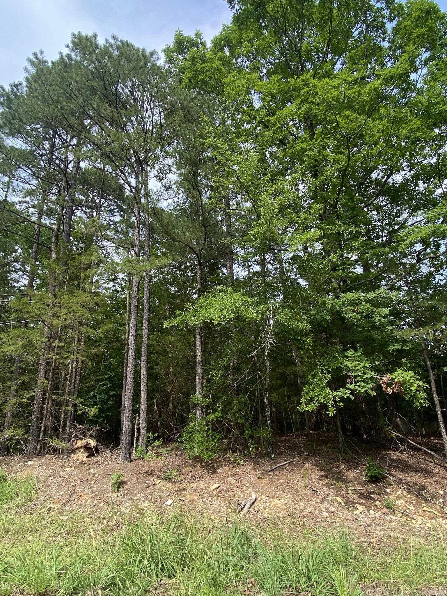 102  Salvatierra  Hot Springs Village, AR