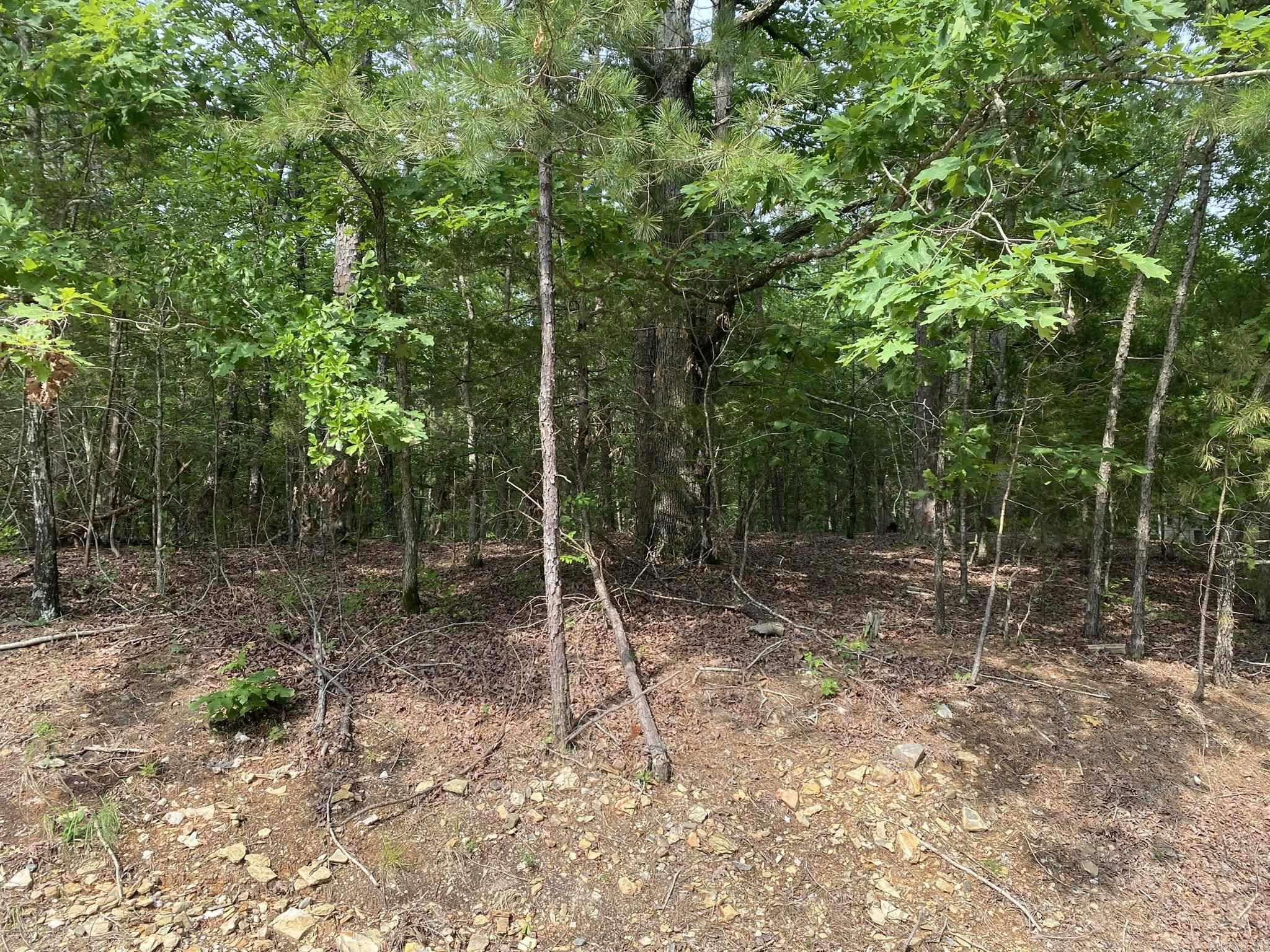 102  Salvatierra  Hot Springs Village, AR
