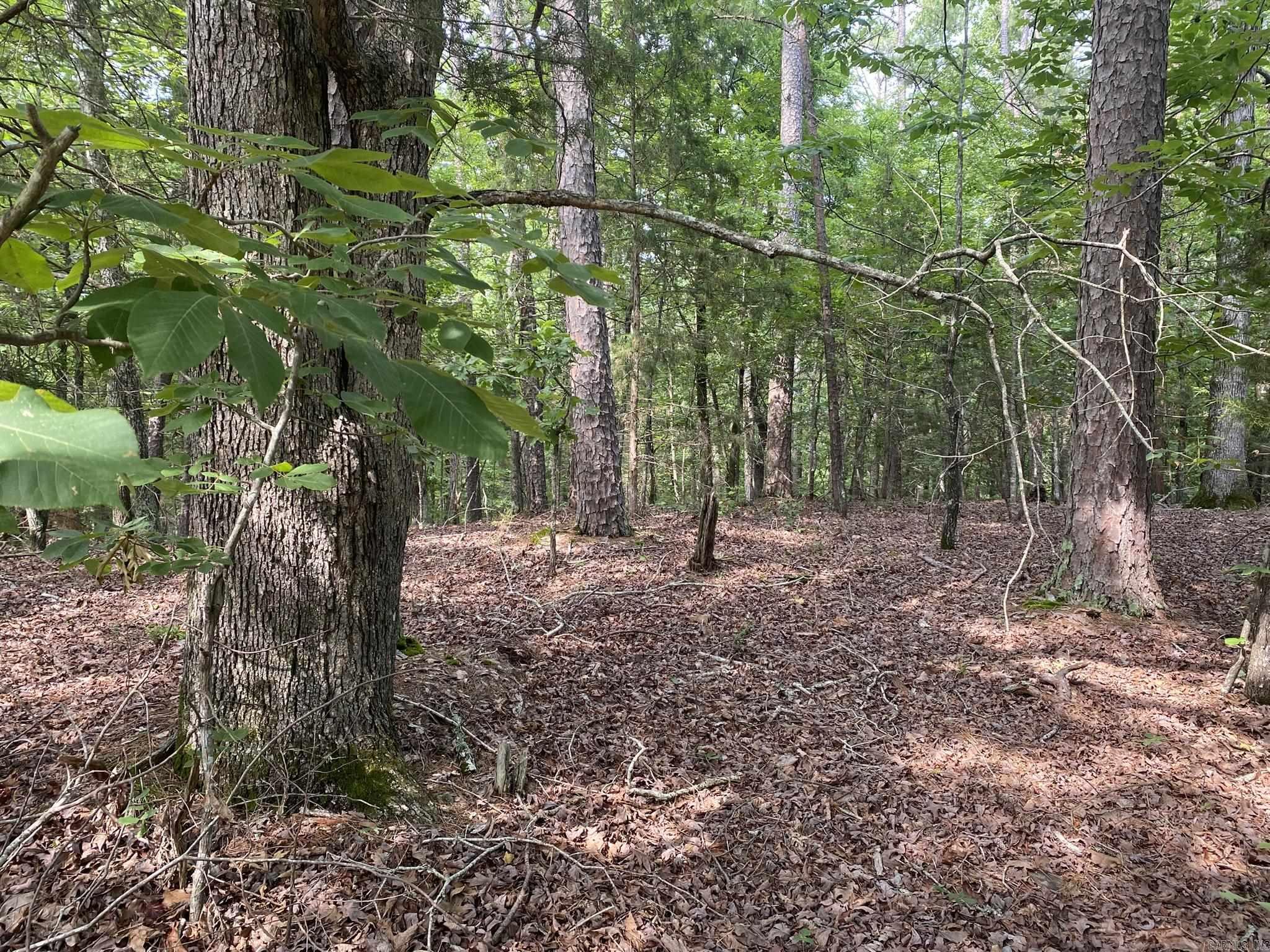 102  Salvatierra  Hot Springs Village, AR