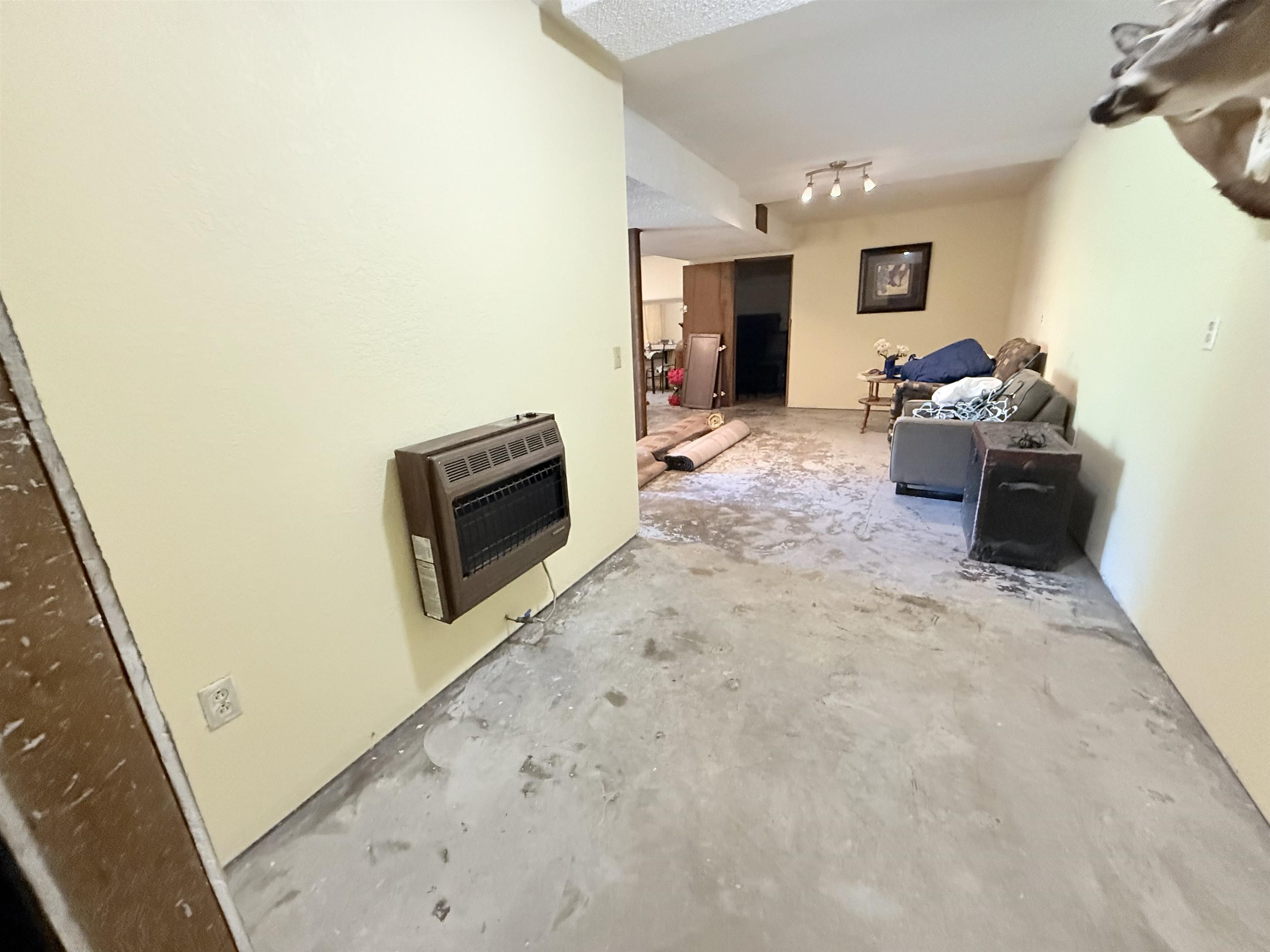 147  Winfree Lane  Melbourne, AR