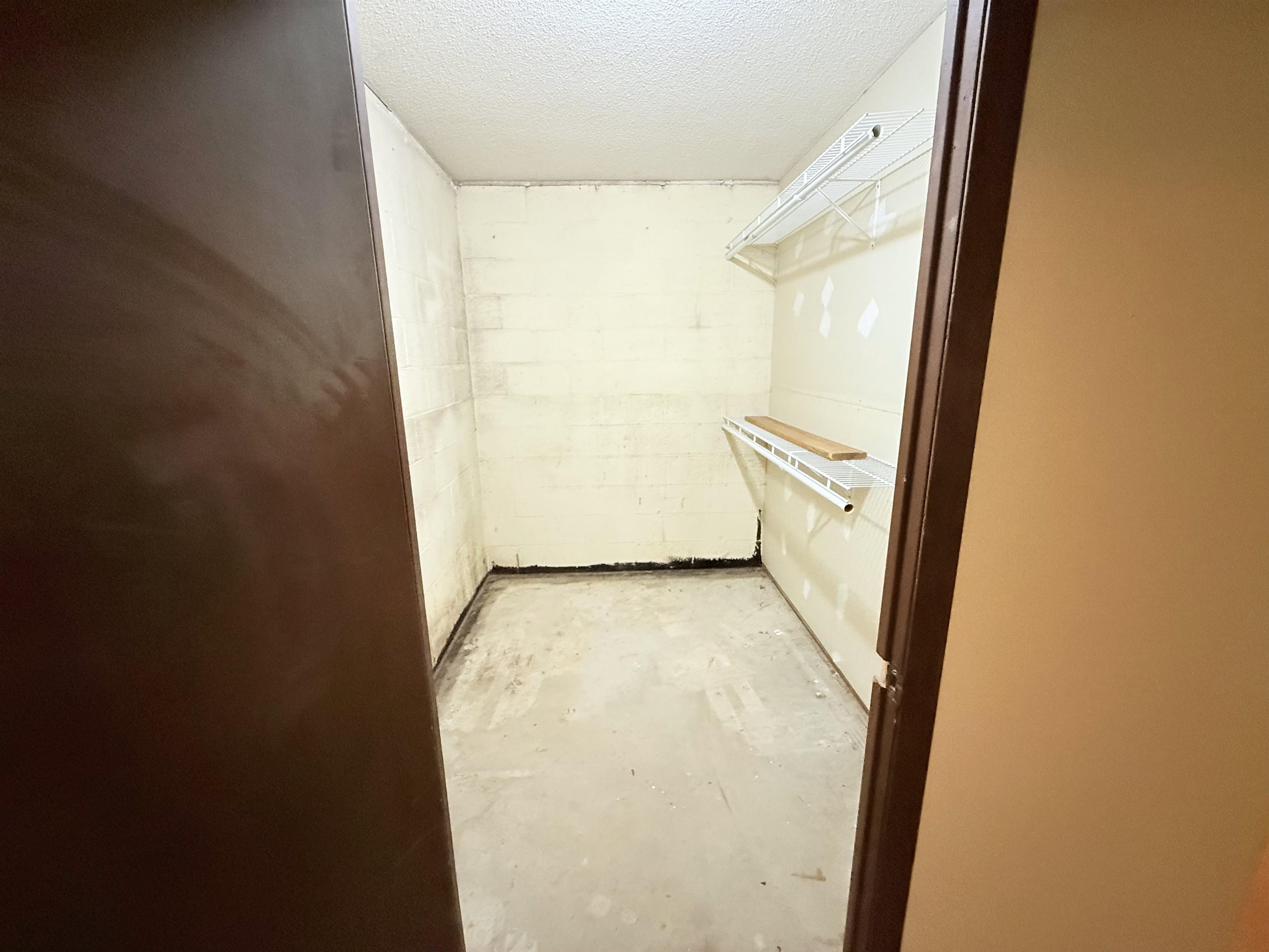 147  Winfree Lane  Melbourne, AR