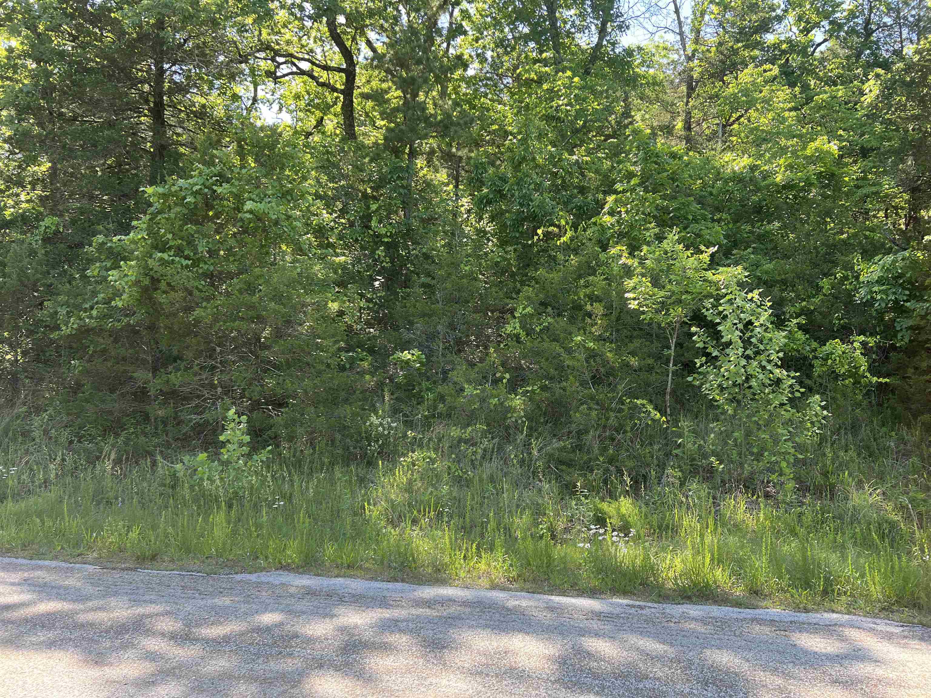 0 001-06140-001  MC 8060  Yellville, AR