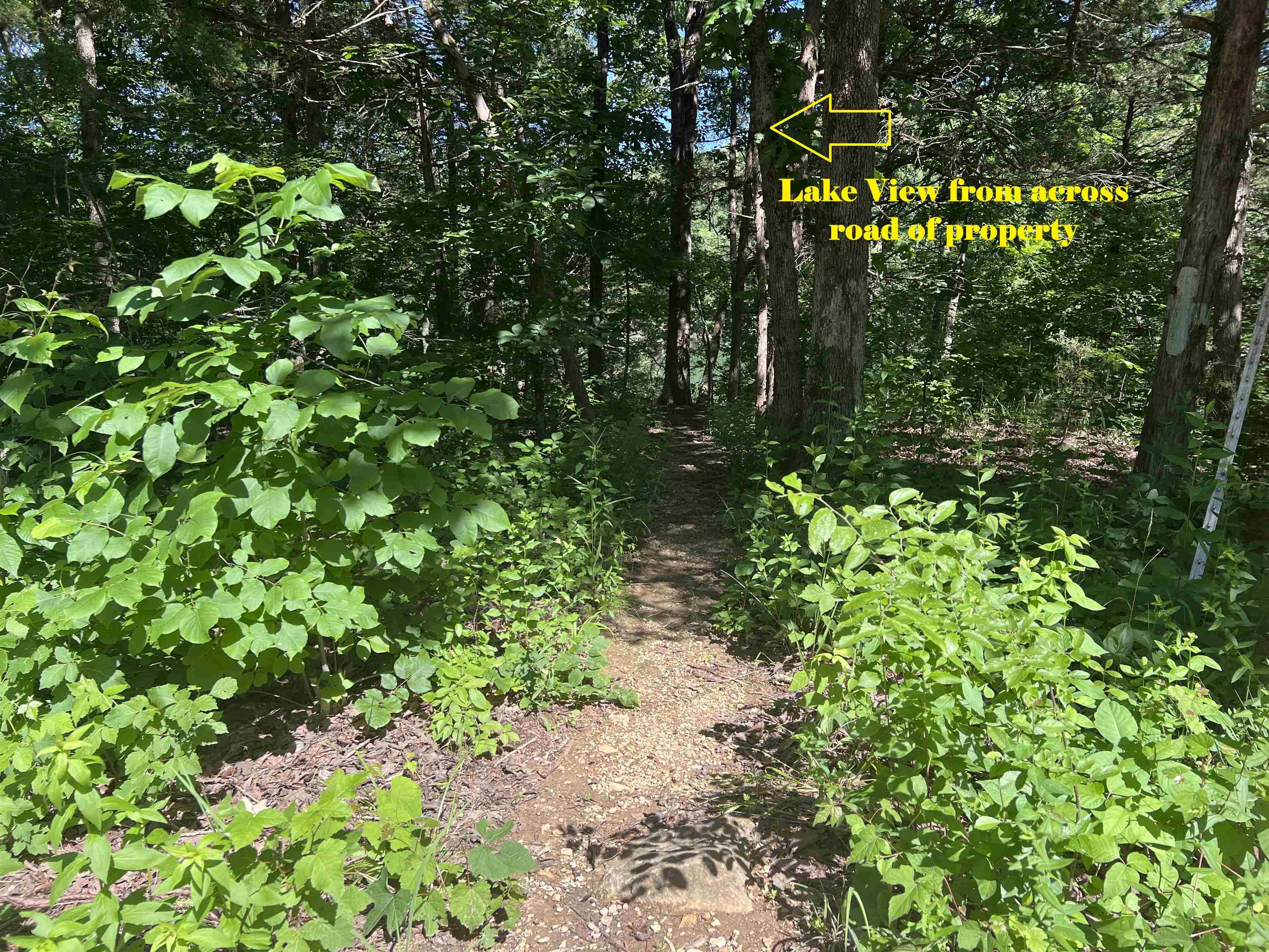 0 001-06140-001  MC 8060  Yellville, AR