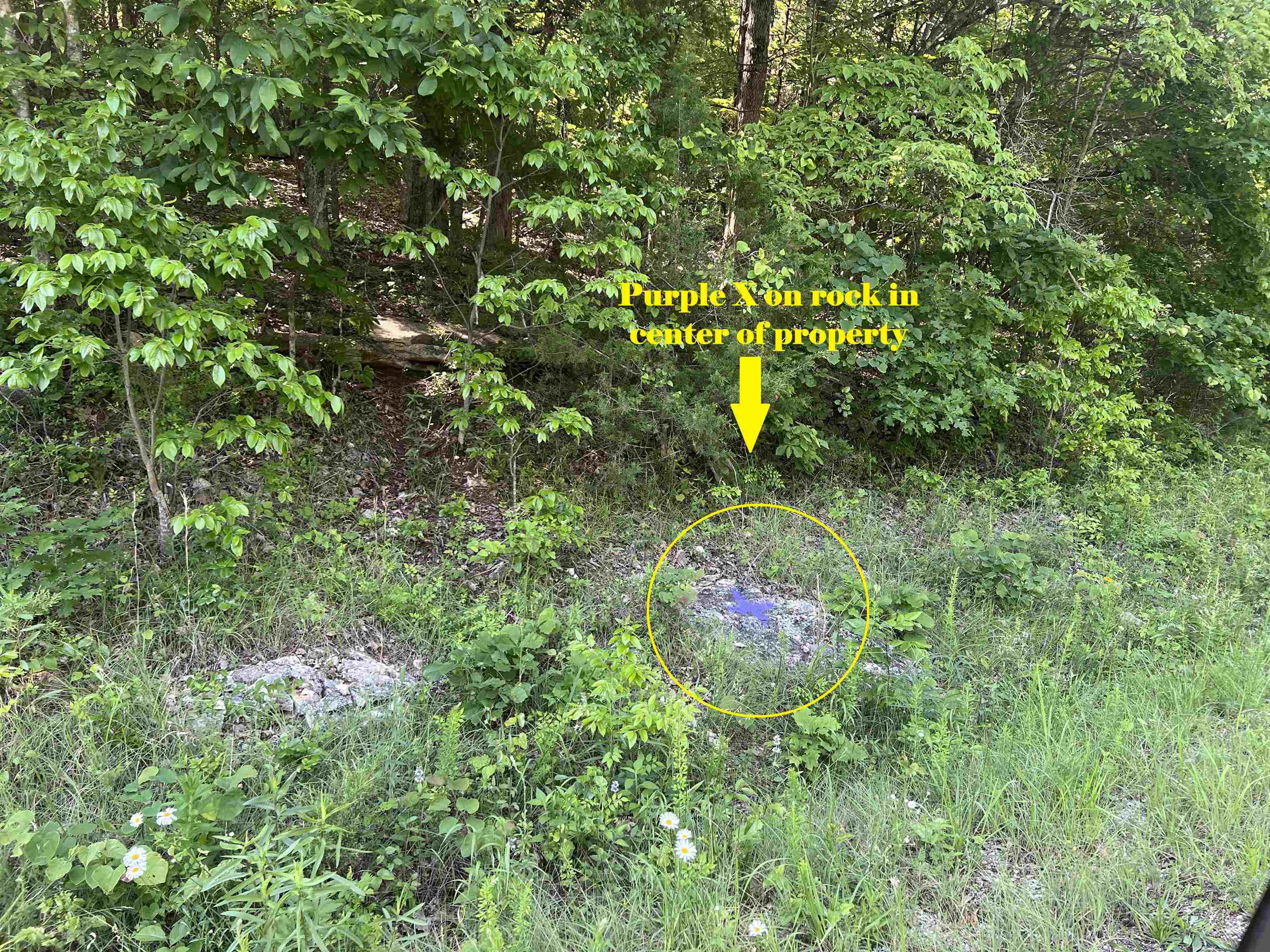 0 001-06140-001  MC 8060  Yellville, AR