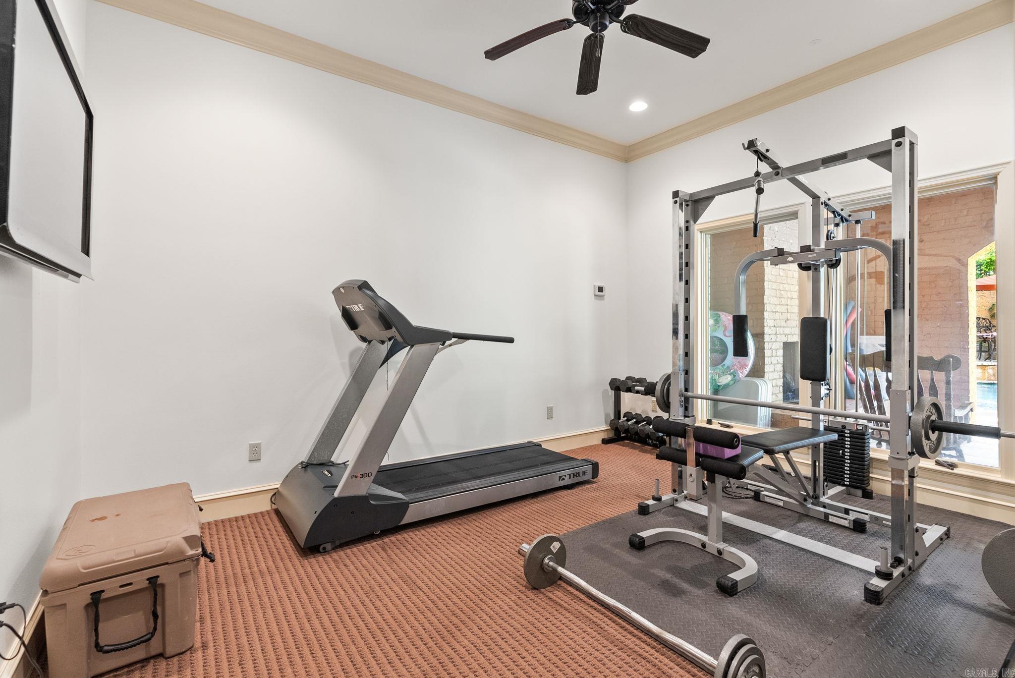 31  Cravache  Little Rock, AR