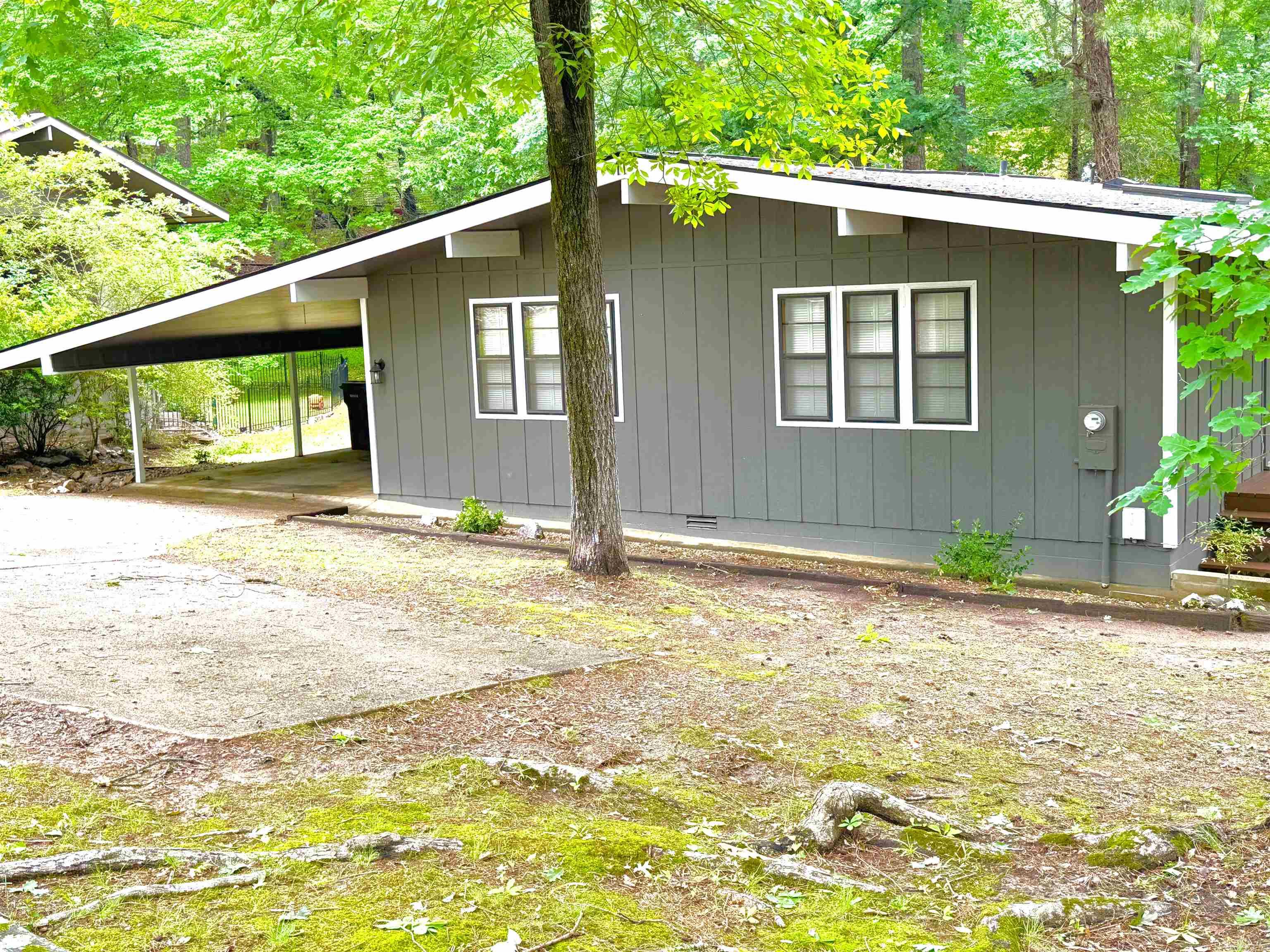 11  Tomino  Hot Springs Village, AR