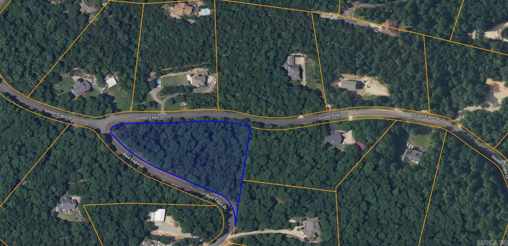 26  Bald Eagle  Paron, AR