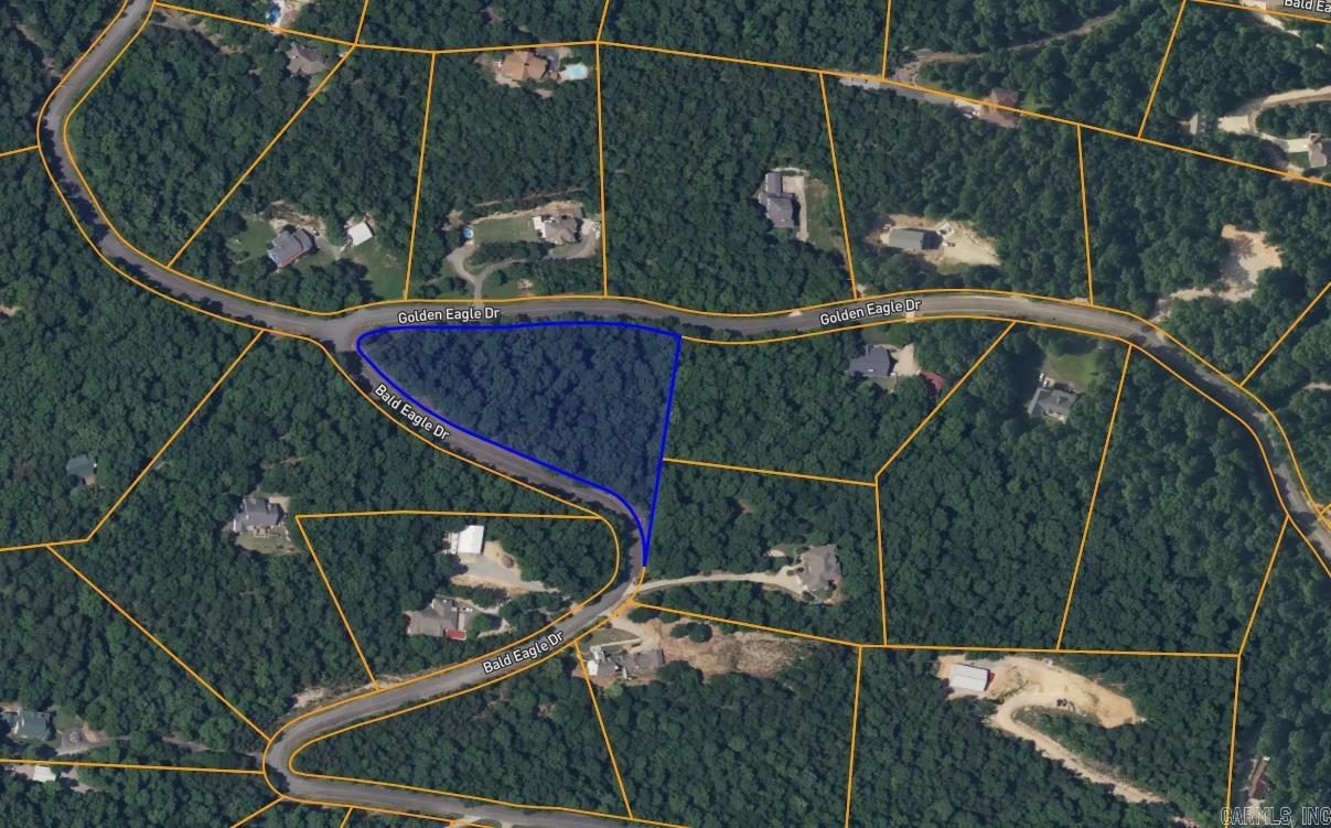 26  Bald Eagle  Paron, AR