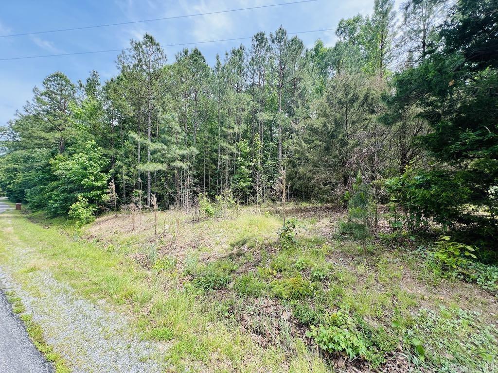 26  Bald Eagle  Paron, AR