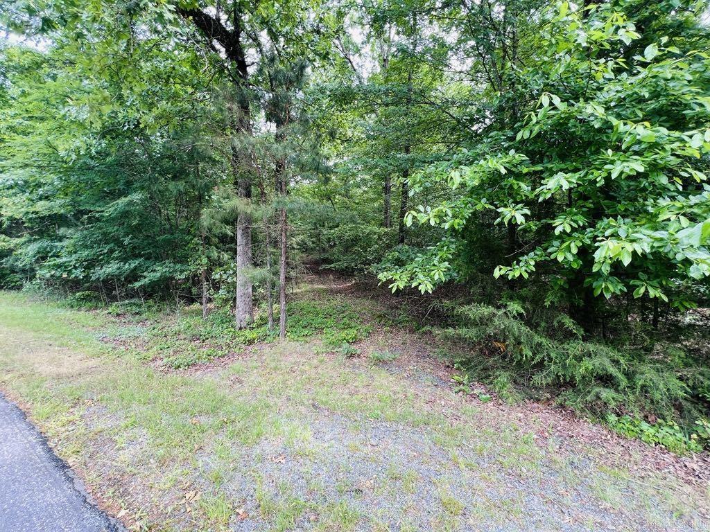 26  Bald Eagle  Paron, AR