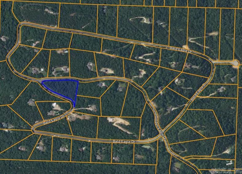 26  Bald Eagle  Paron, AR
