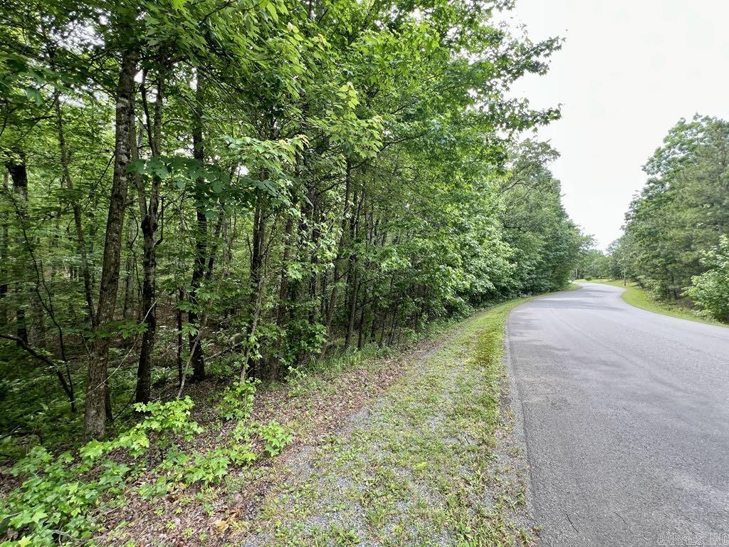 26  Bald Eagle  Paron, AR