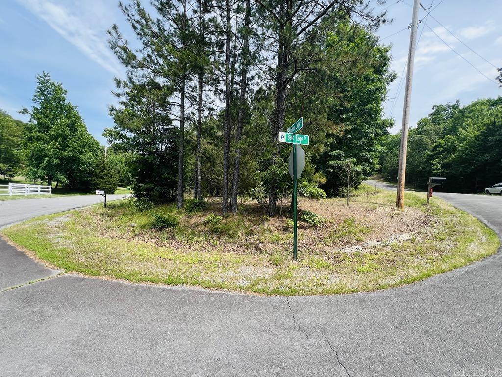26  Bald Eagle  Paron, AR