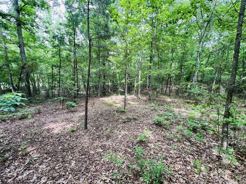 26  Bald Eagle  Paron, AR