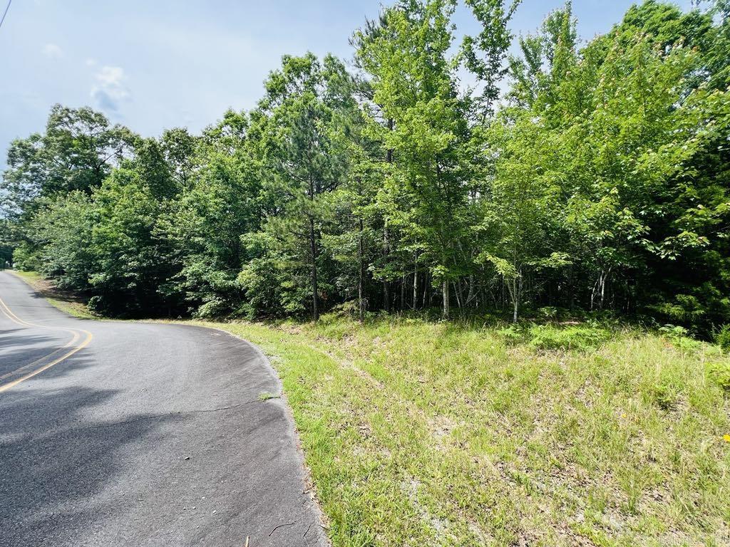 26  Bald Eagle  Paron, AR