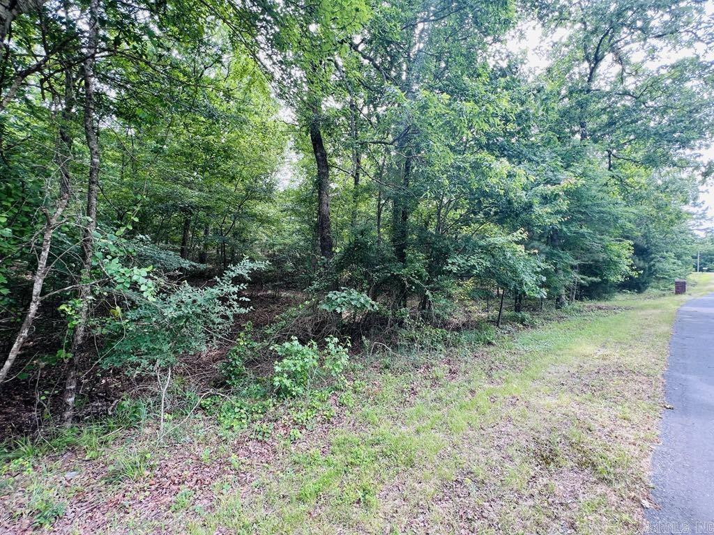 26  Bald Eagle  Paron, AR